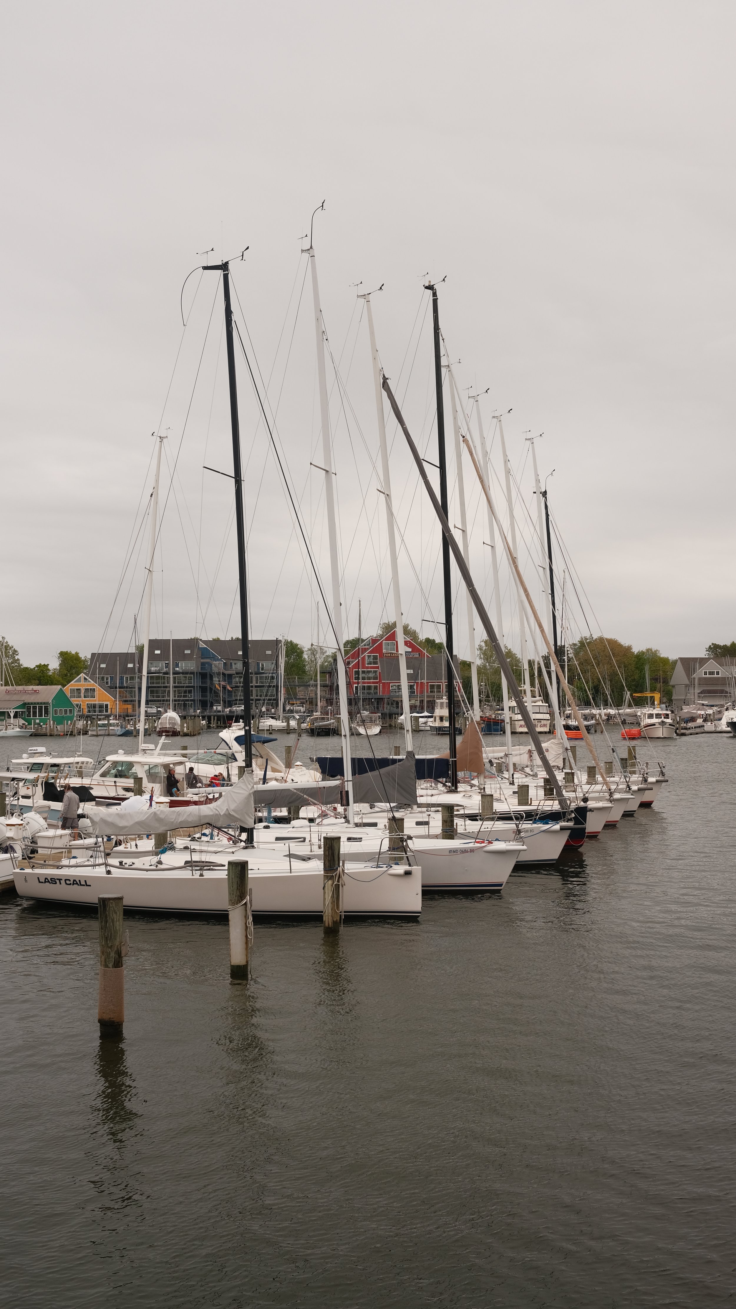 DSCF3696.JPG