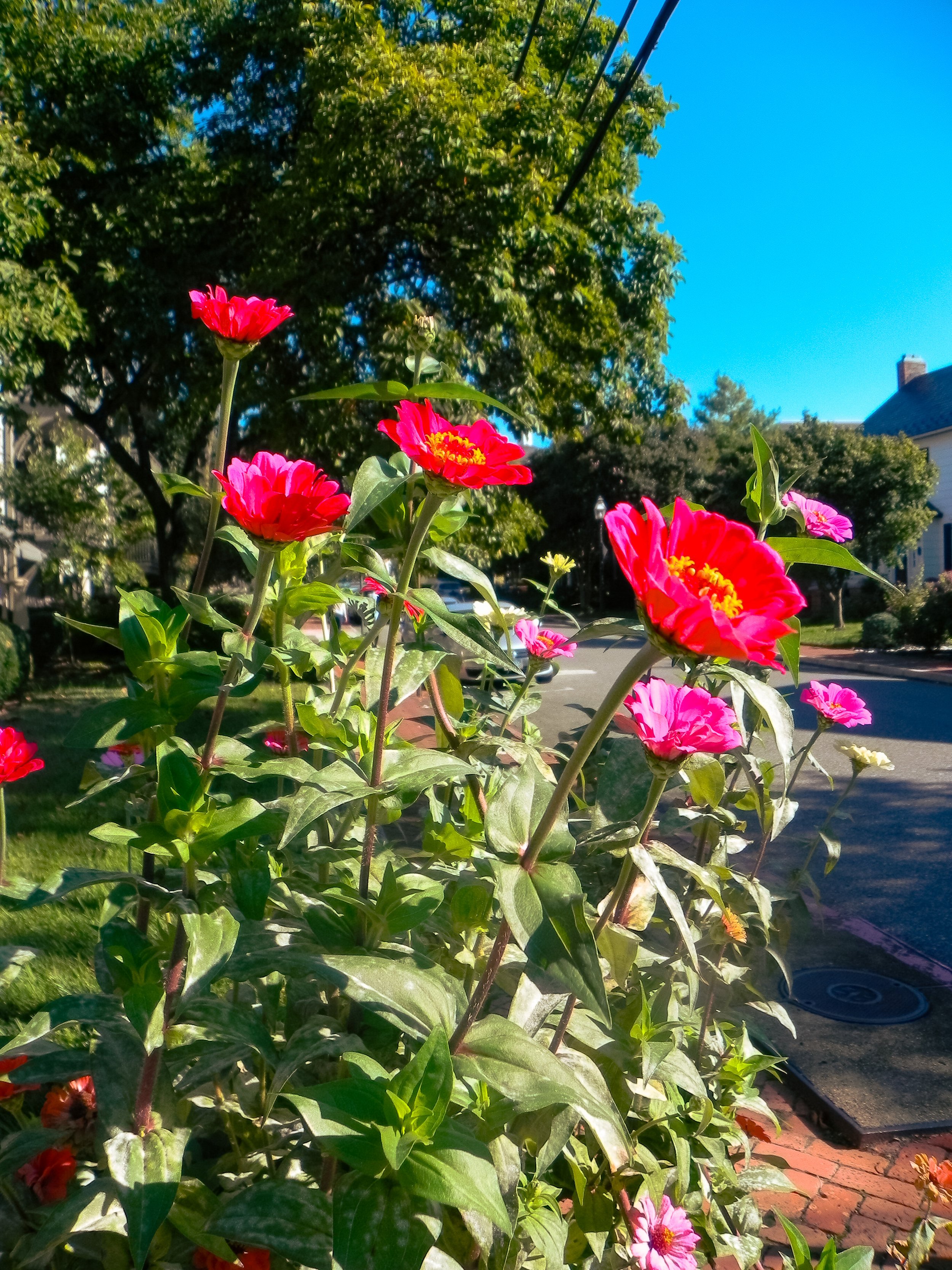 DSCN1747.JPG