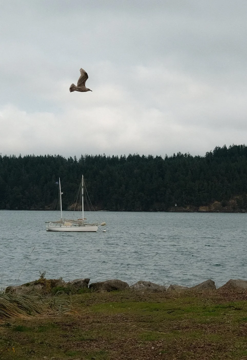 DSCF8719.JPG