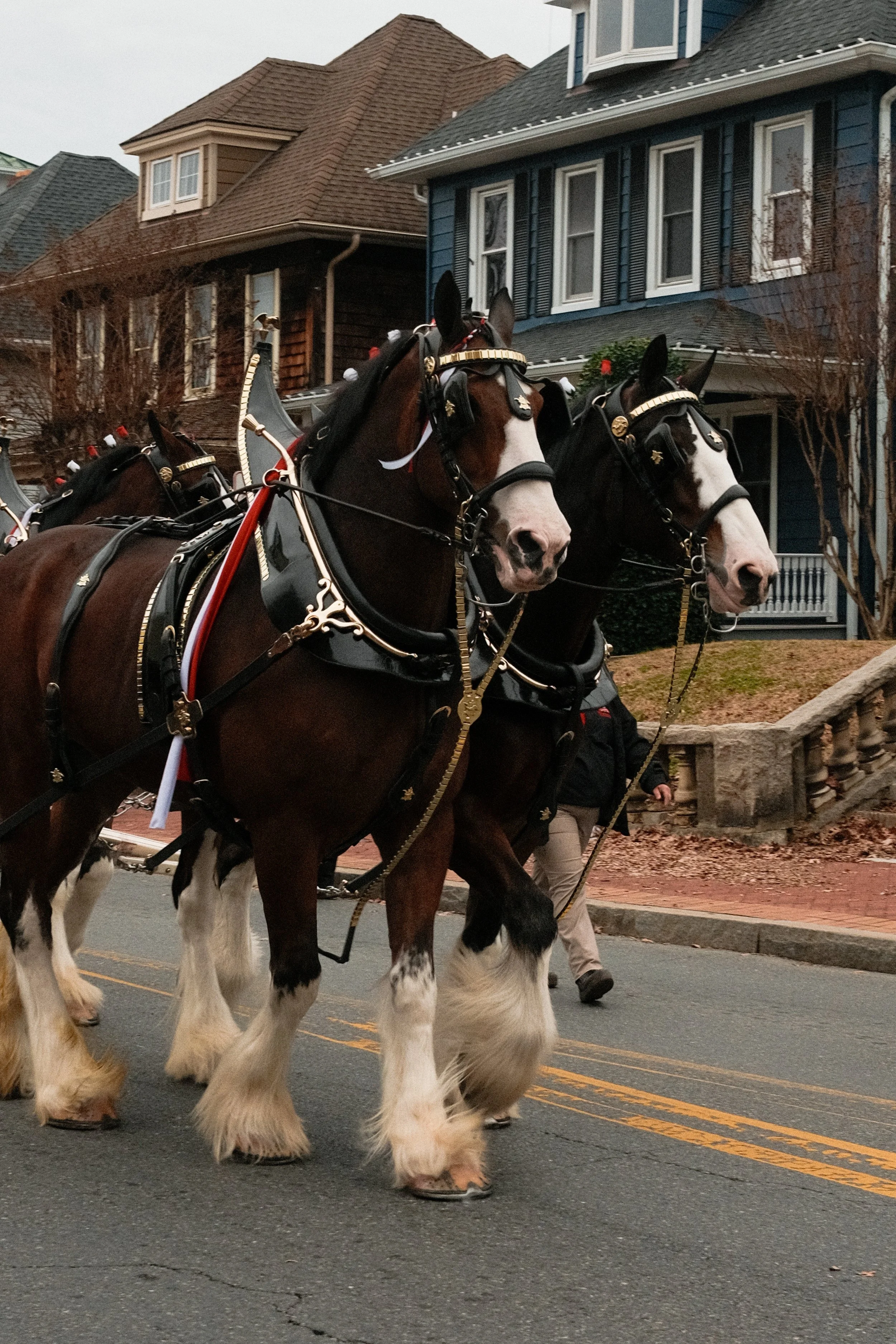 DSCF6193.JPG