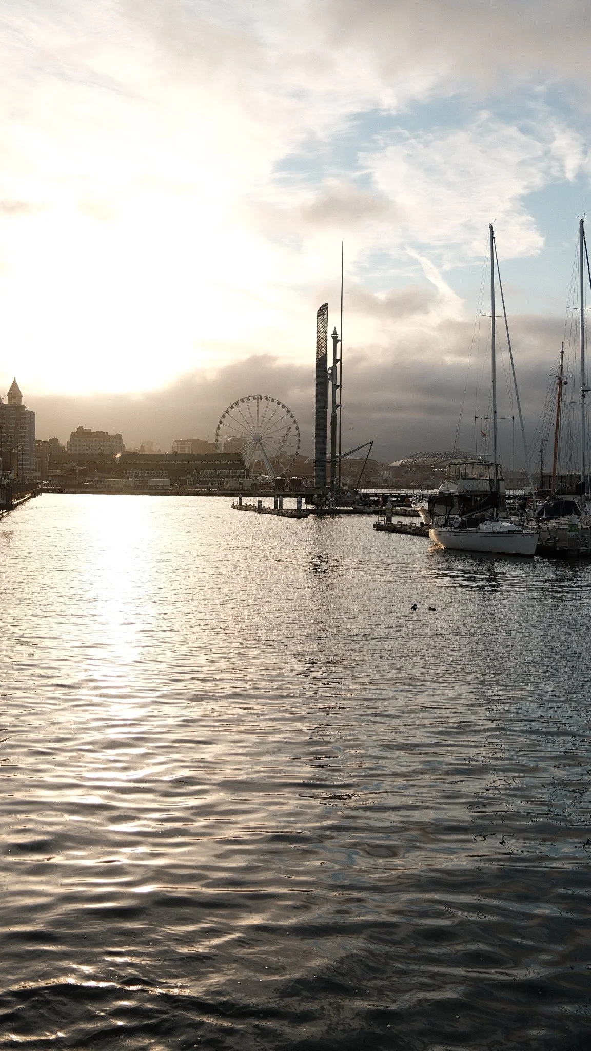 DSCF7053.JPG