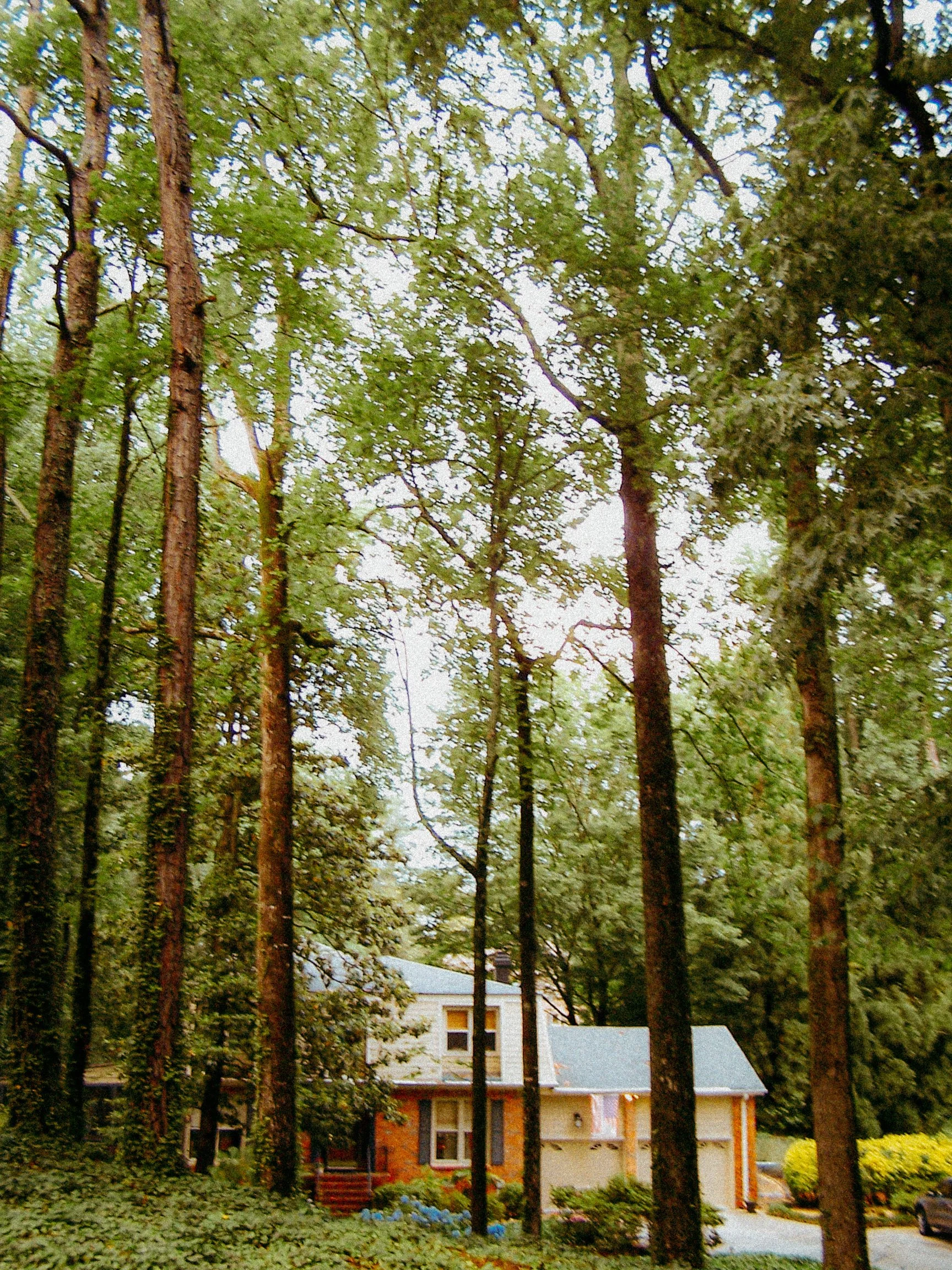 100_2869.JPG