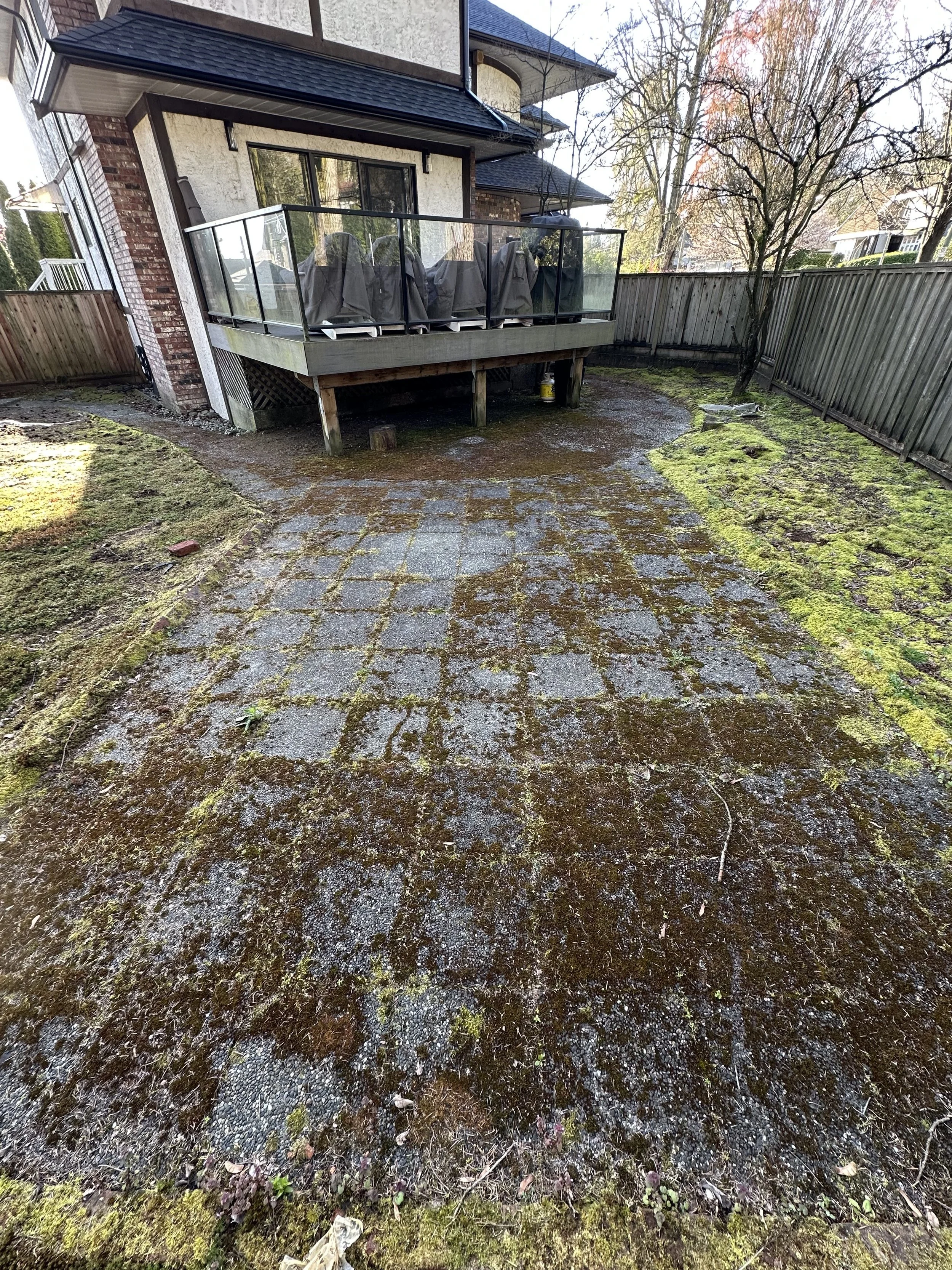 Backyard with moss-covered ground, a wooden deck with covered grills, a wooden fence, and trees with some autumn foliage.