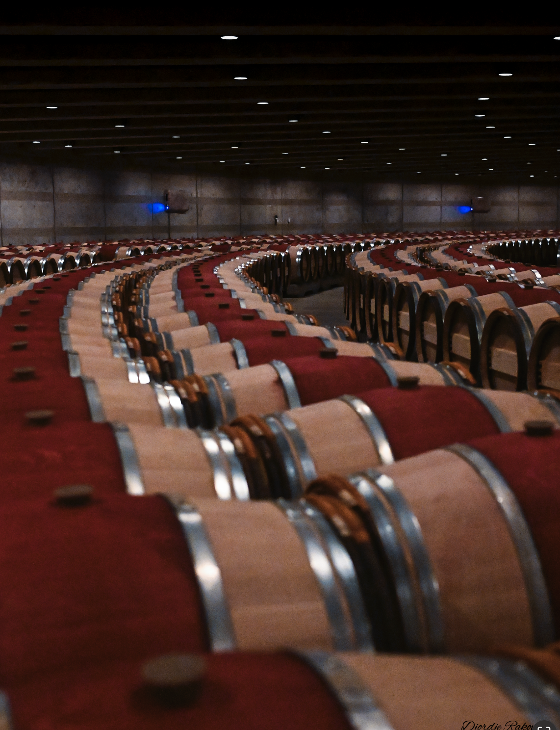 Empty conference or concert hall with rows of red and beige seats arranged in a curved pattern. The ceiling has small, evenly spaced lights and the walls are plain with blue lights on the sides.