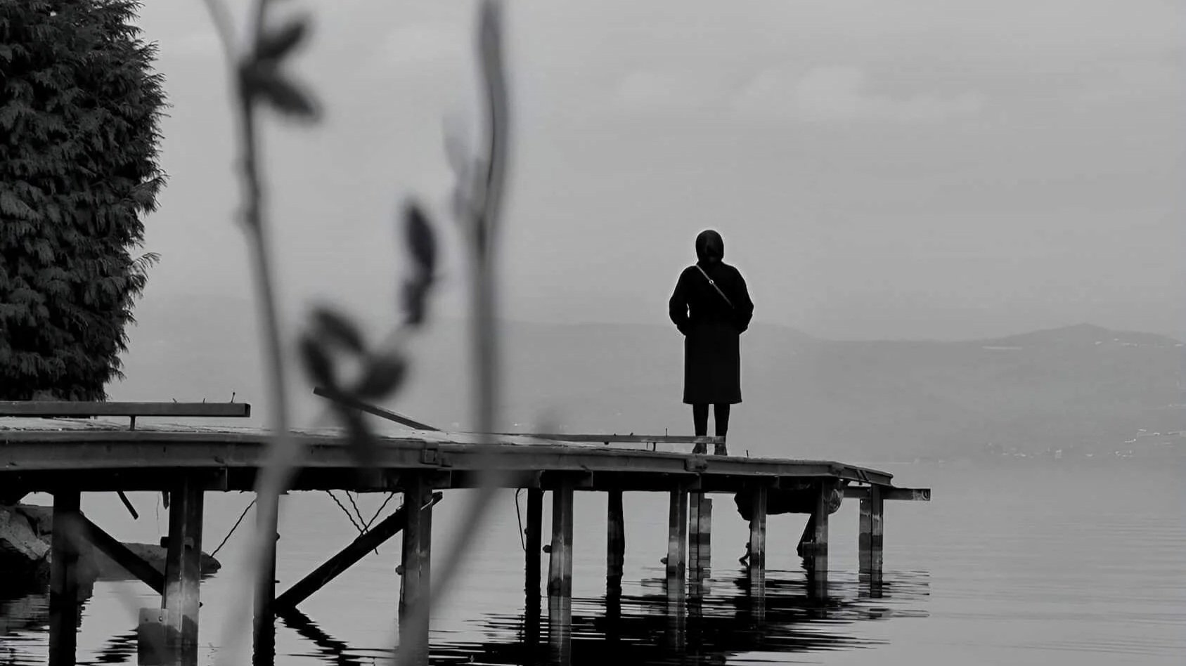 On Wholehearted Acceptance — Marcus Aurelius