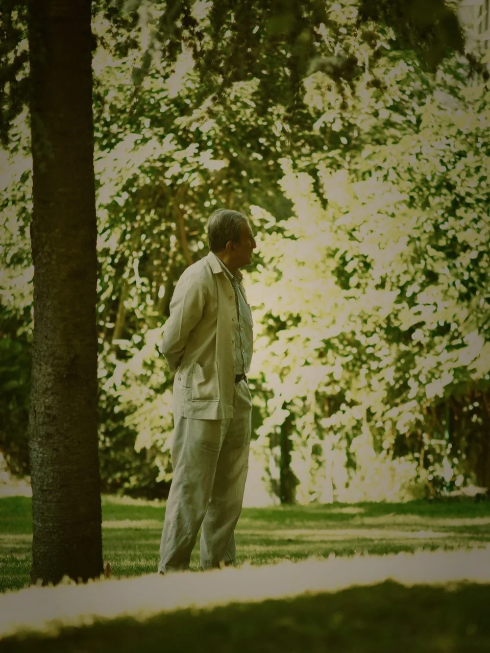 On Being There — Jerzy Kosińsky