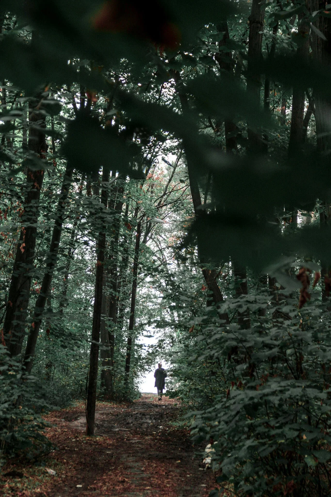 On Presence — Mary Oliver