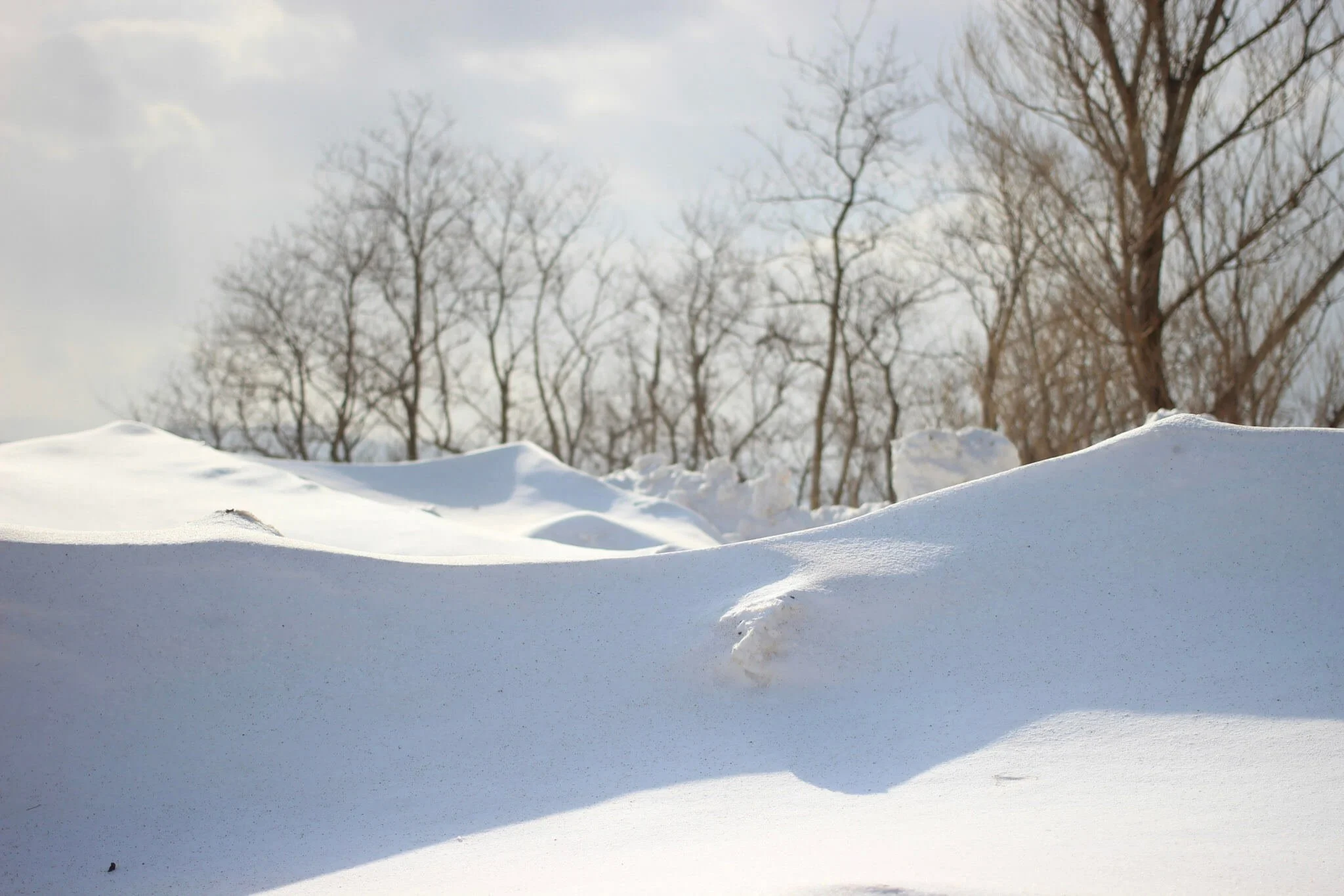 “We've had that over and over. But we always survived. We're still here.”— Waubgeshig Rice — Moon of the Crusted Snow, 2018&nbsp;&nbsp;