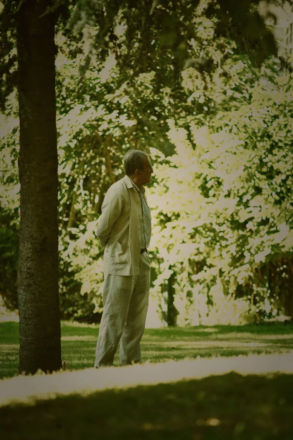 A man in a light suit stands alone beneath sunlit trees in a park, dappled golden light filtering through the leaves, with the Being There quote overlaid on a burgundy background.
