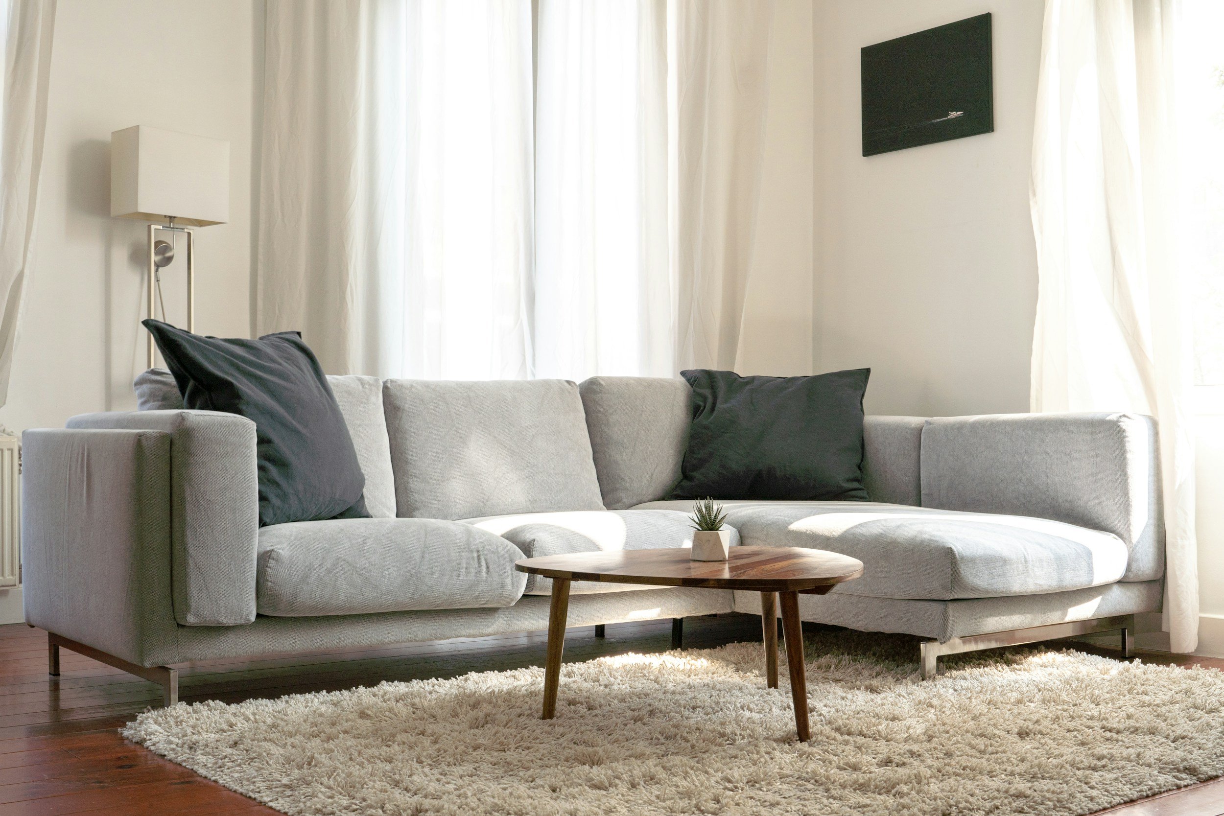 Living room with a light grey sofa with dark pillows, a wooden coffee table with a small potted plant, a cream shag rug, sheer curtains on a window, a wall-mounted flat-screen TV, and a wall lamp.