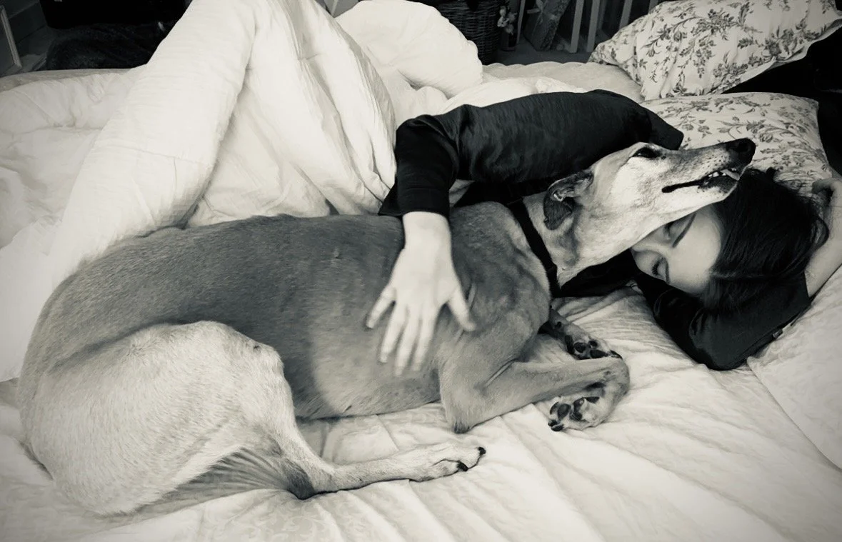 A woman sleeping on a bed with two dogs, one large and one small, cuddling together.