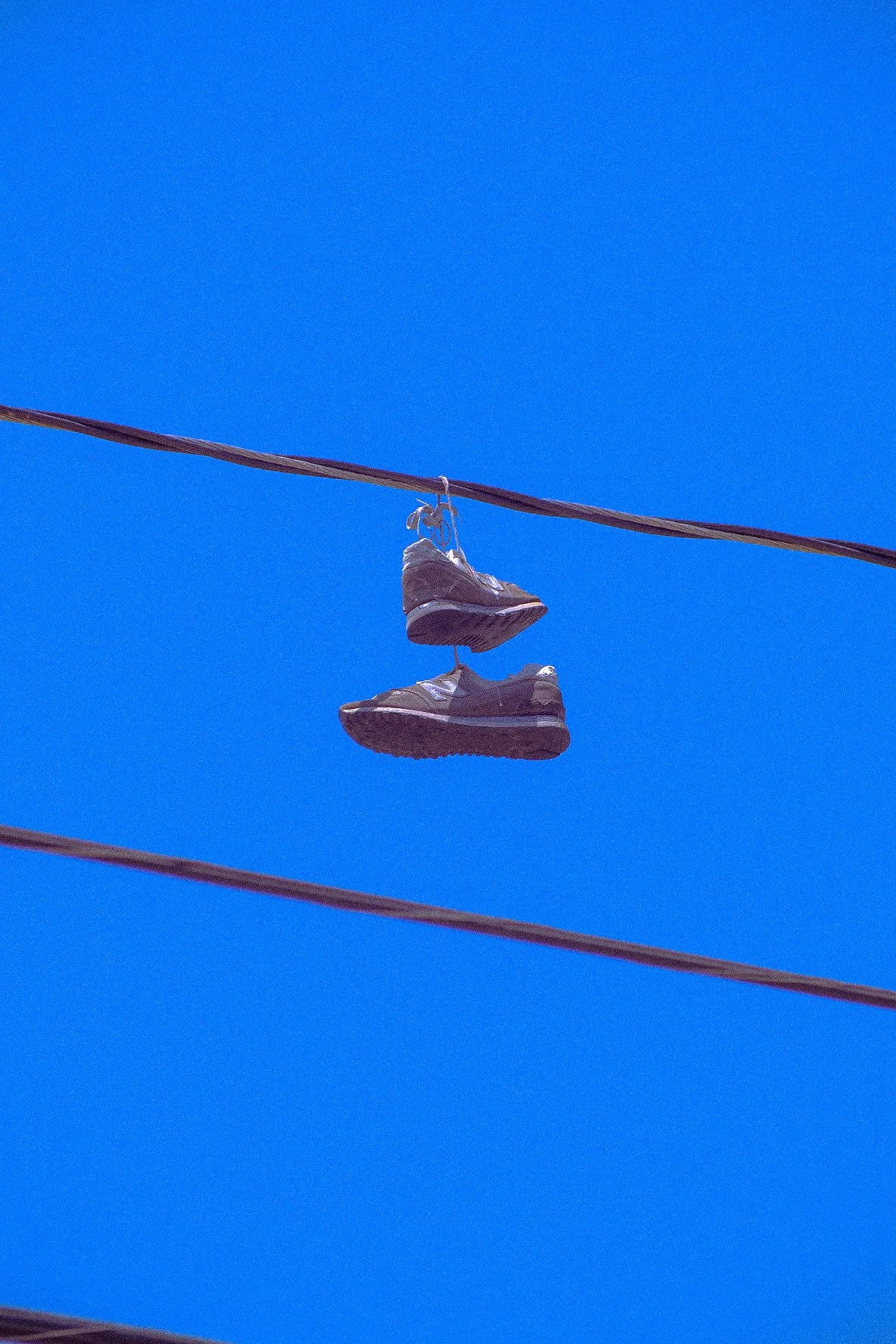 DSCF0440.JPG
