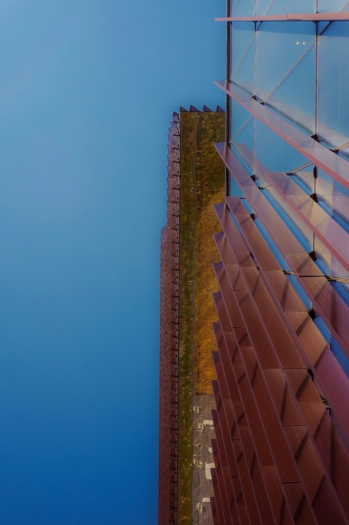 DSCF8558.JPG