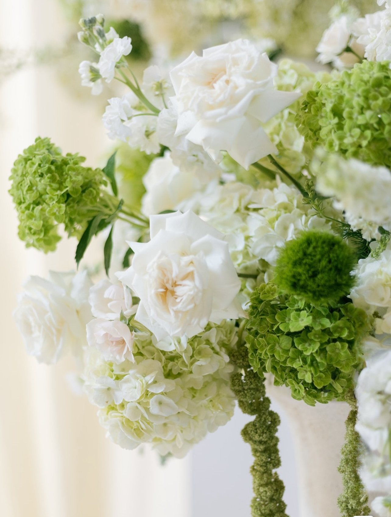 Ivory Garden Estate