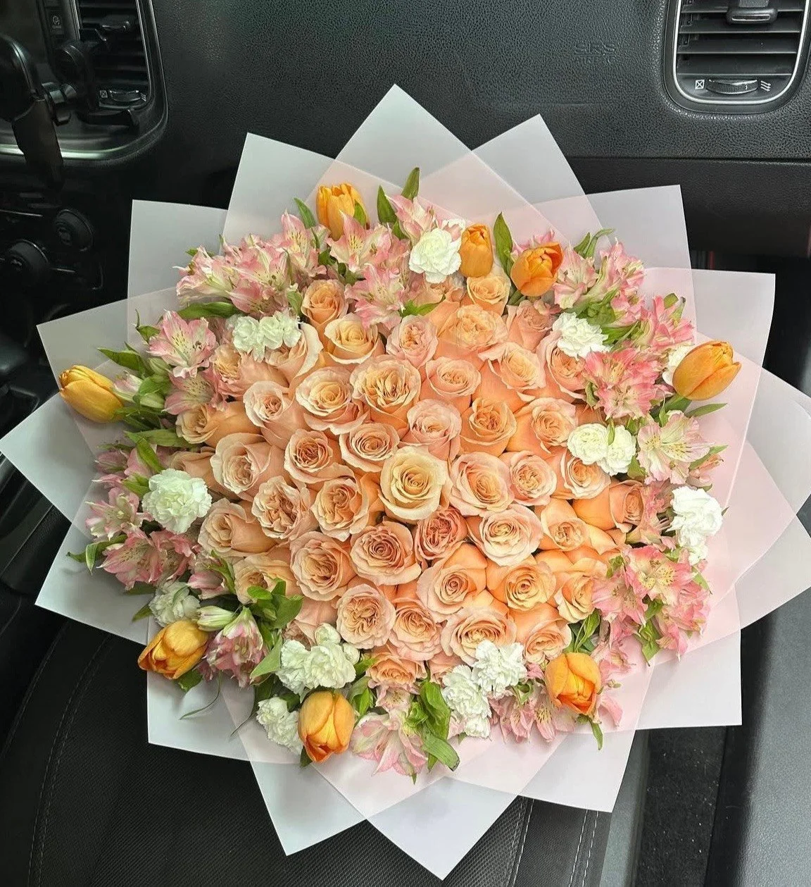 The Apricot Elegance