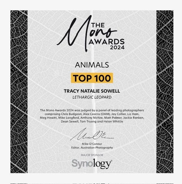 Certificate of achievement for Tracy Natalie Sowell in the Animals category at the 2024 Mono Awards, judged as a Top 100 entry, with a black and white leaf design background, signed by Mike O'Connor, sponsored by Synology.