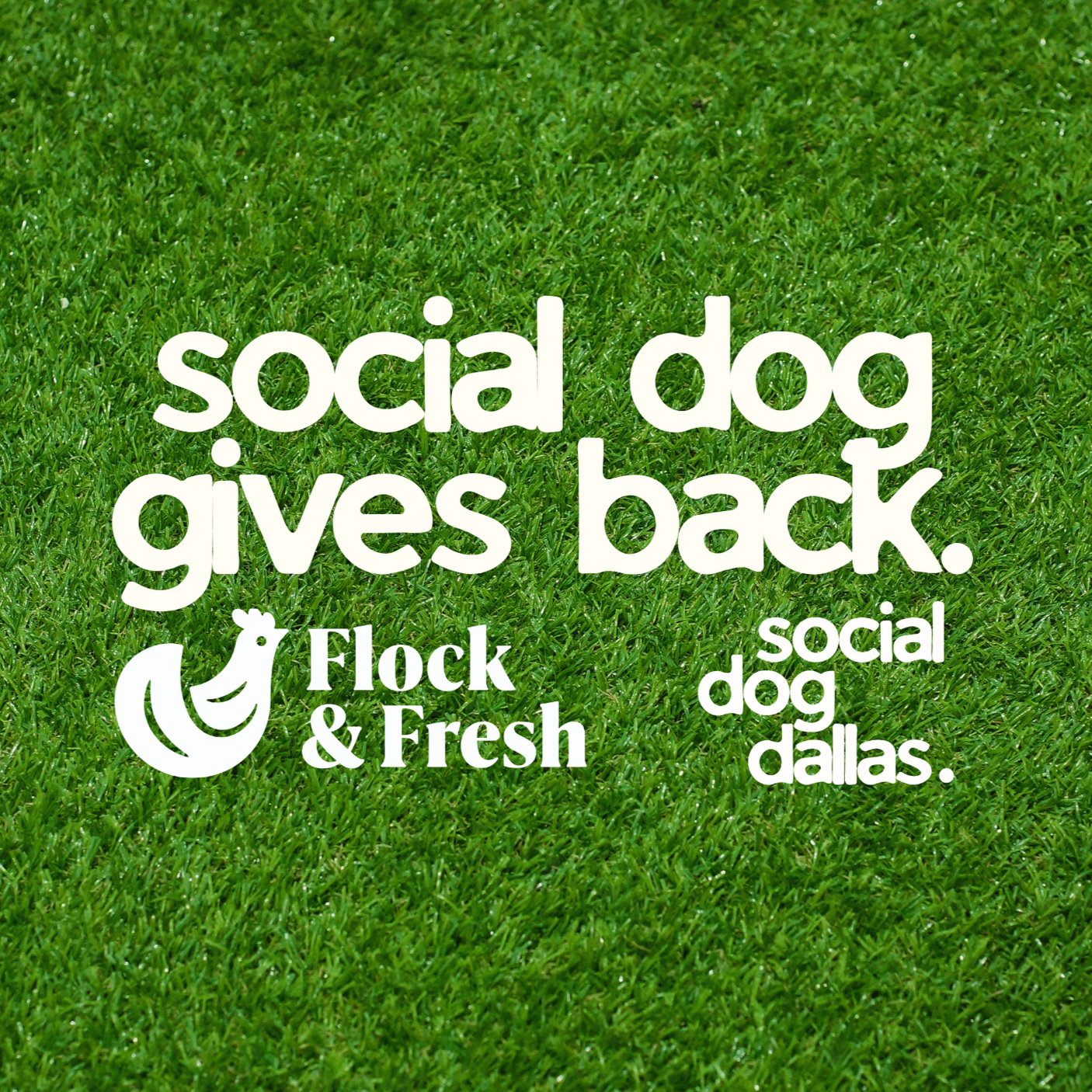 SOCIAL DOG GIVES BACK