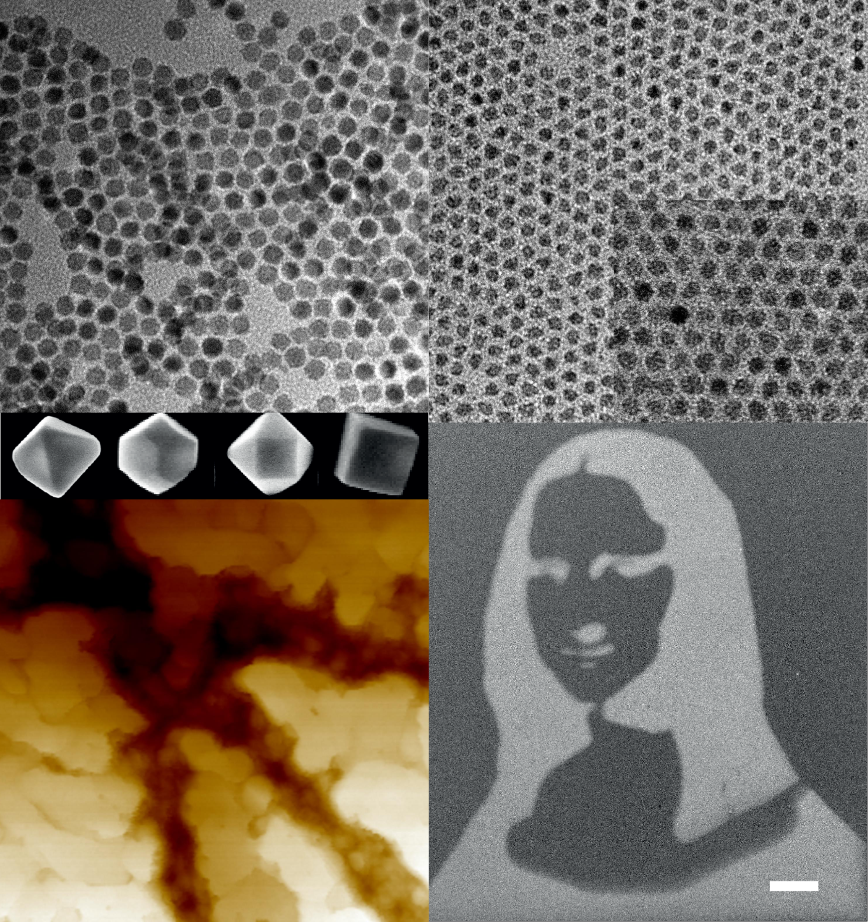 Side-by-side images comparing honeycomb structures and a Western-style wedding cake. The honeycombs show a close-up of hexagonal honeycomb patterns, and the cake is decorated with a skull-shaped ornament.