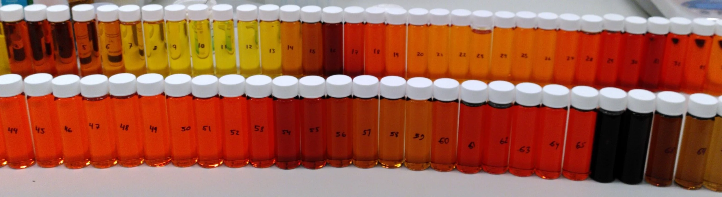 A row of vials after chromatography for the synthesis of molecular catalysts.