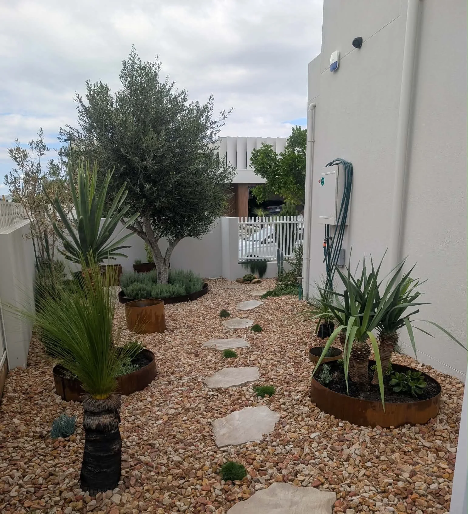 A backyard garden with a pebble ground cover, potted exotic and desert plants, a large tree, a white fence, and a house wall with utility boxes and a garden hose.