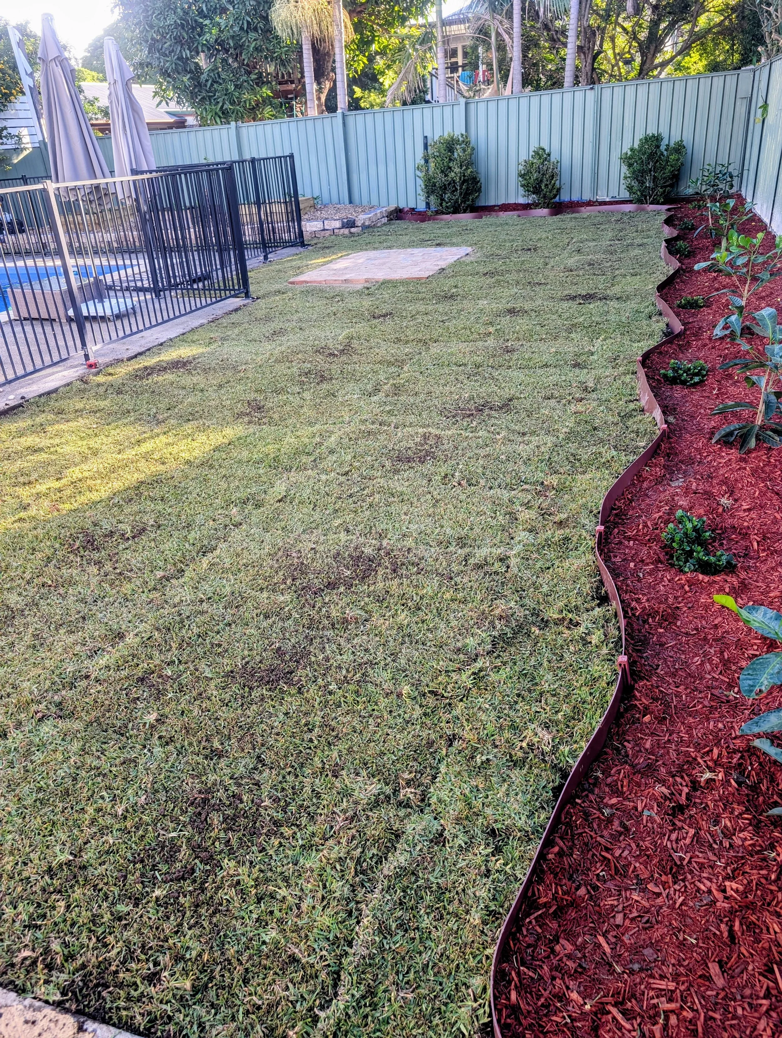 Freshly installed turf, a flowerbed with bushes on the right side edged with red mulch, a light-colored metal fence in the background, and a black metal gate. 