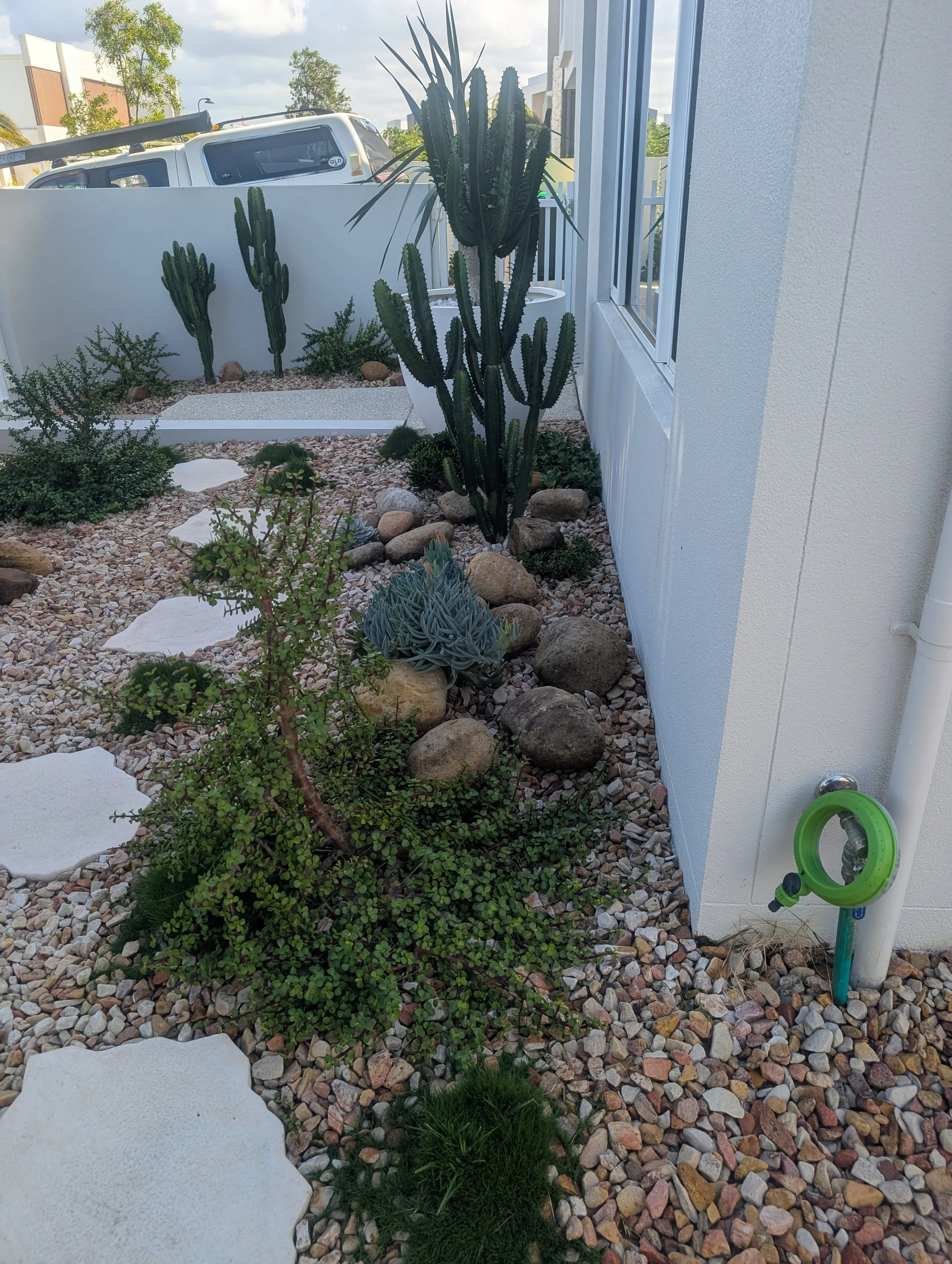 A small desert garden with various cacti and drought-tolerant plants, surrounded by small rocks and gravel, next to a white building with a window and a green garden hose reel.