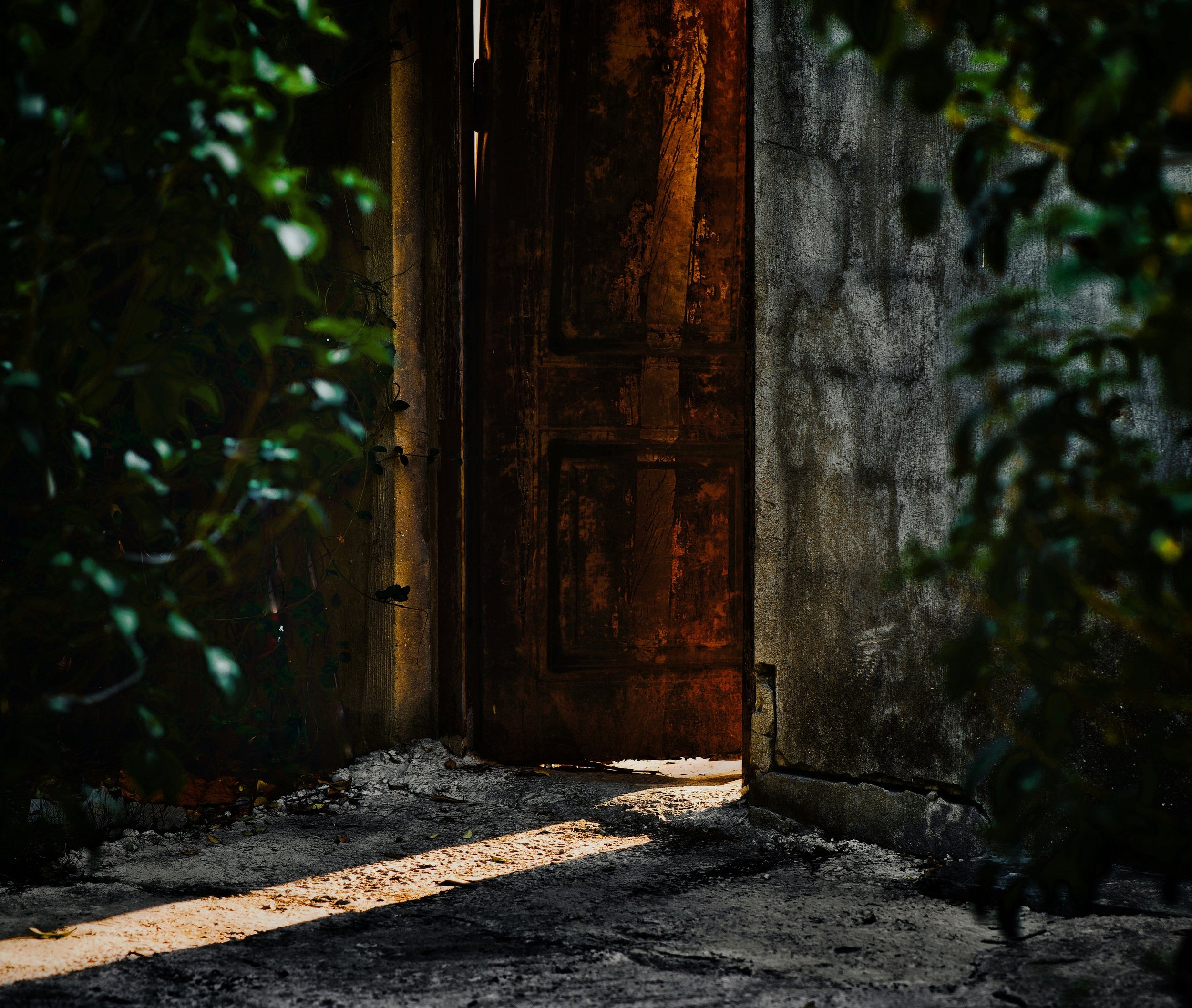 Opportunity without access is noise