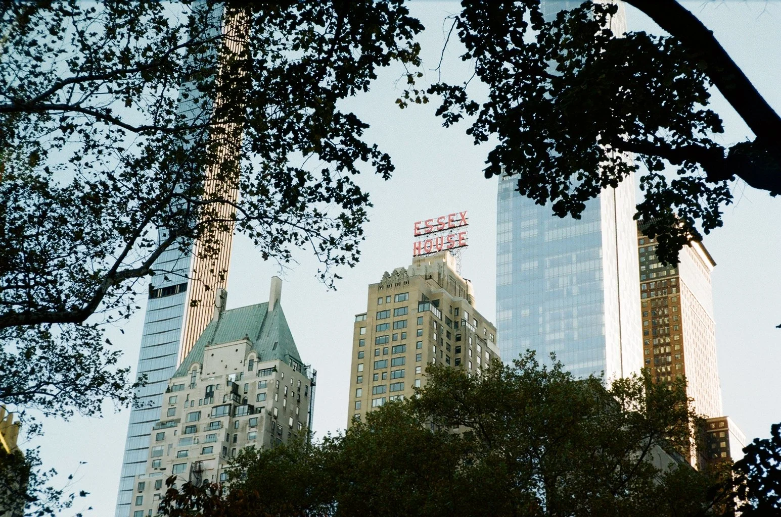 Tall skyscrapers in an urban cityscape viewed through tree branches with green leaves, including the iconic Essex House hotel with its red neon sign on top.