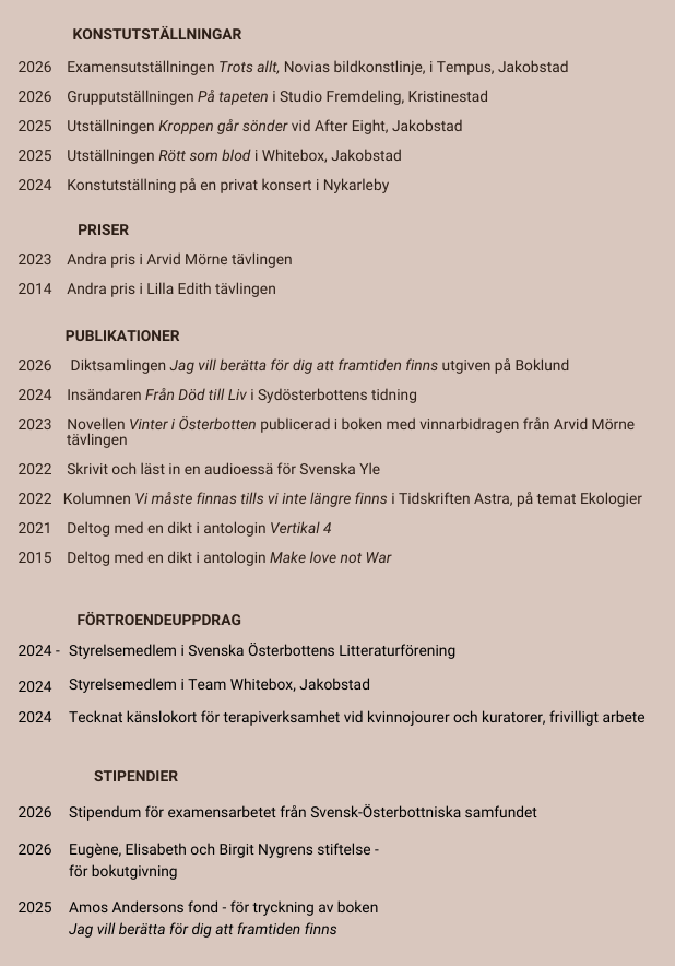 Skärmbild (630).png