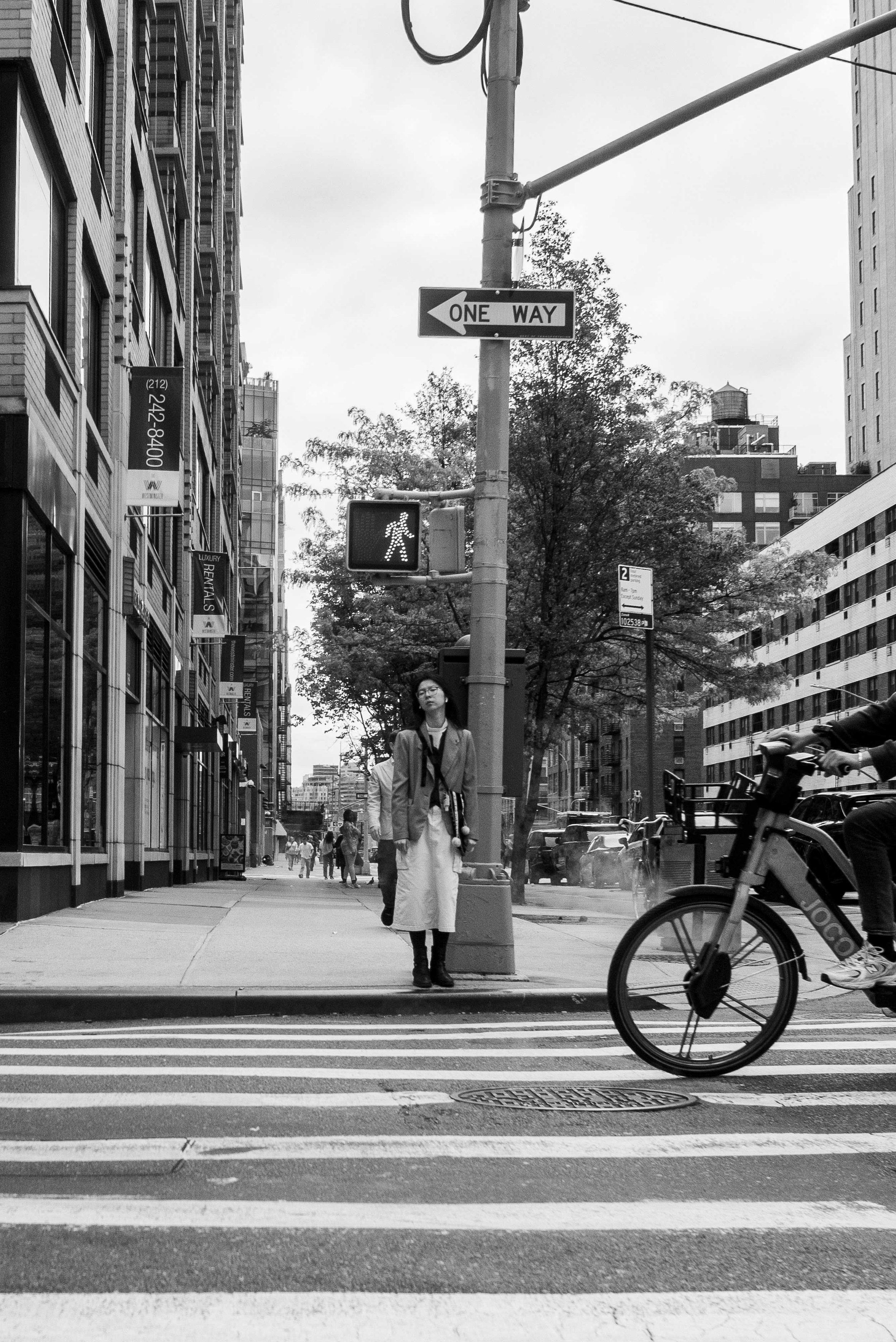 Urban city street scene in black and white showing a woman walking on the sidewalk past a streetlight with a pedestrian crossing signal, a bike, tall buildings, and trees lining the street