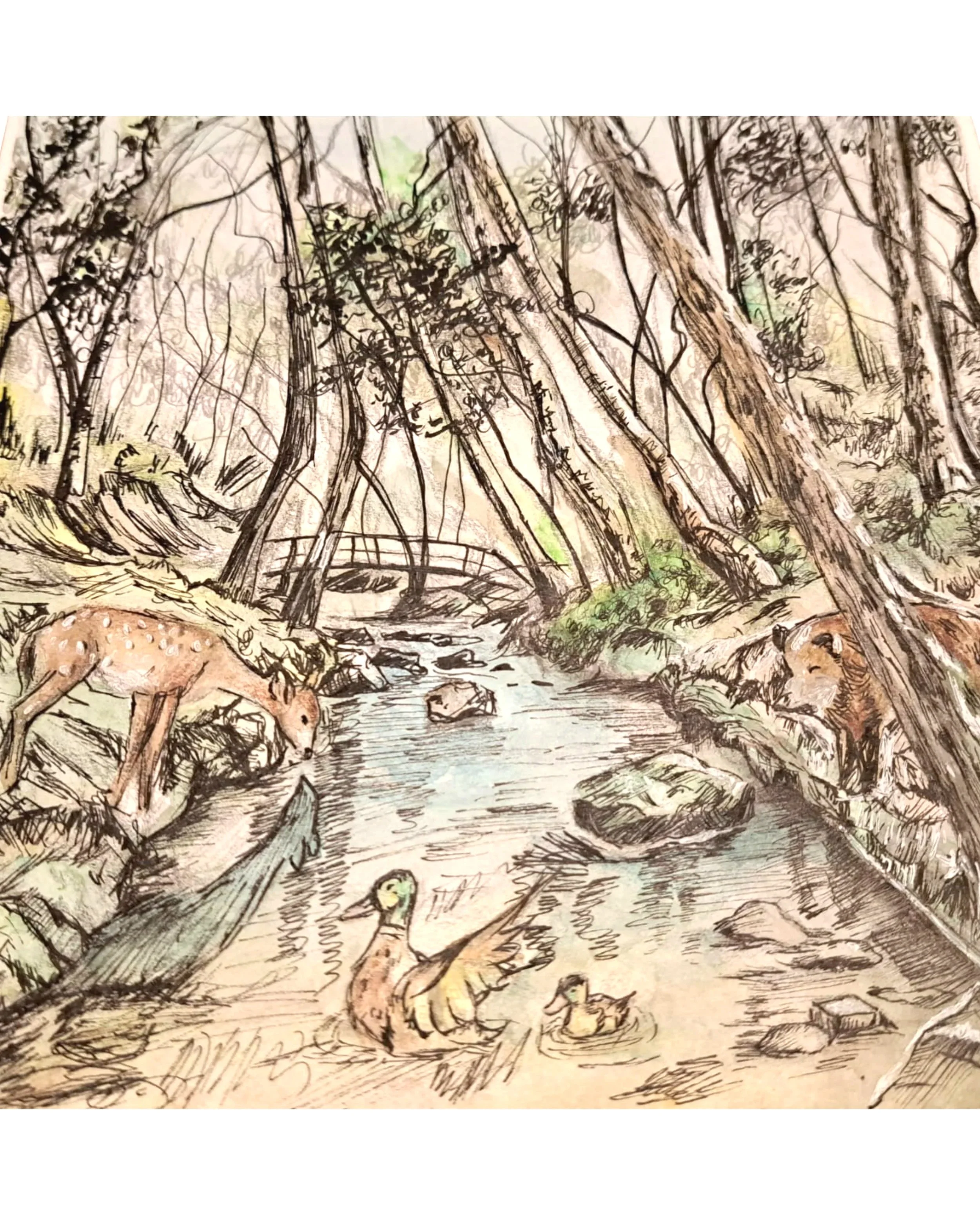 Dibujo de un río que atraviesa un bosque con árboles altos y rocas, y tres patos en el agua.