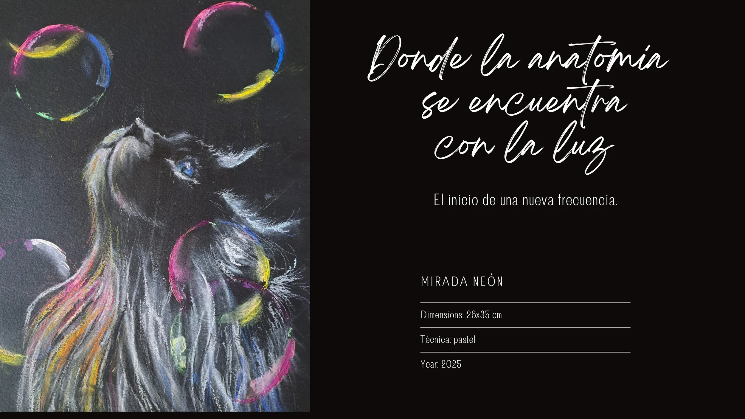 Dibujo pastel de un elefante con burbujas de colores y una cita que dice: 'Donde la anatomía se encuentra con la luz'.