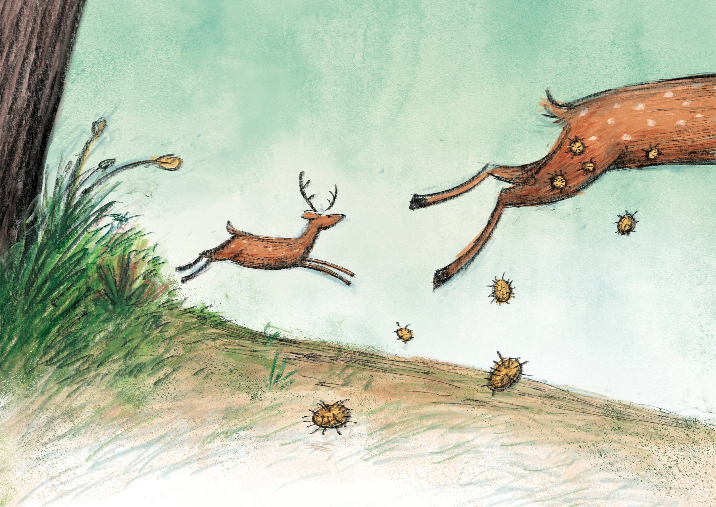 page_5_color_final_2.jpg