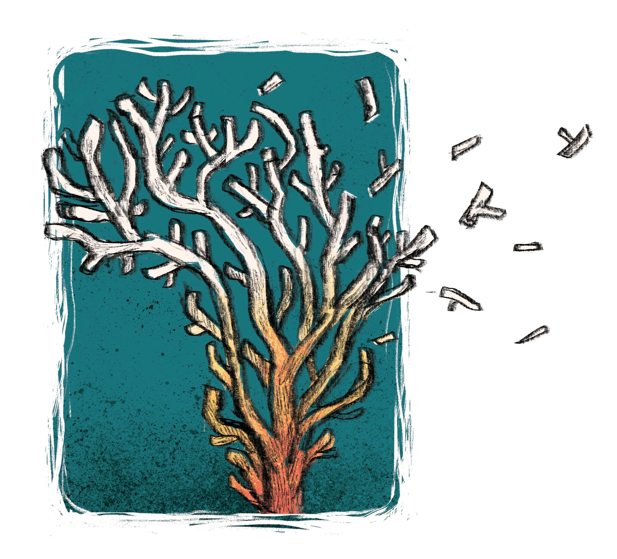 Coral Bleaching