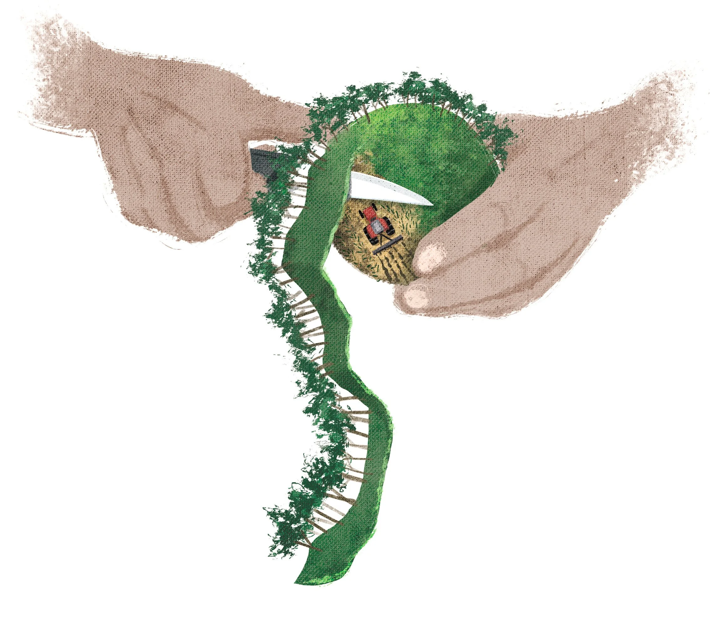 bookReview_agricultureDeforestation_2 copy.jpg