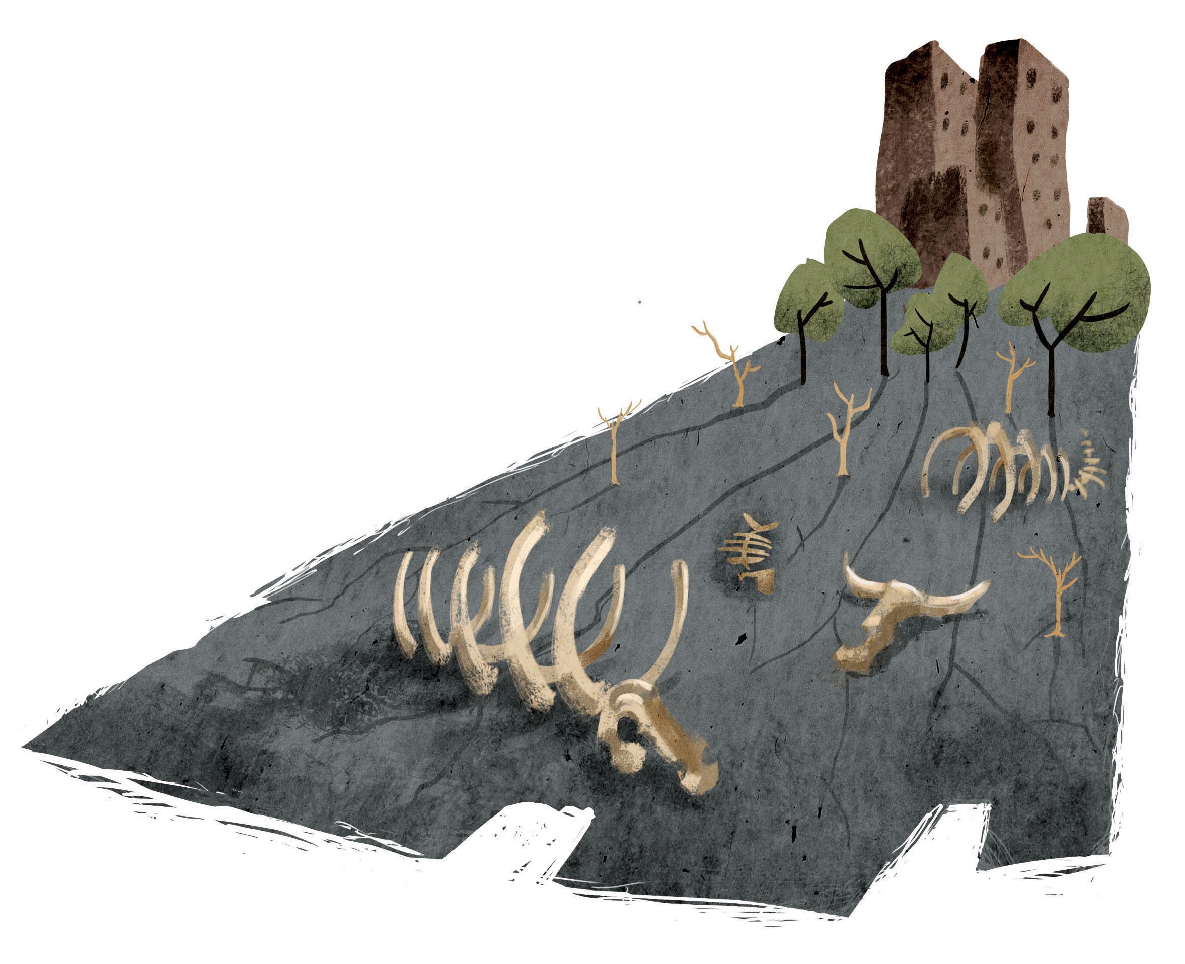 The SixthExtinction_elizbethKolbert_review_2.jpg