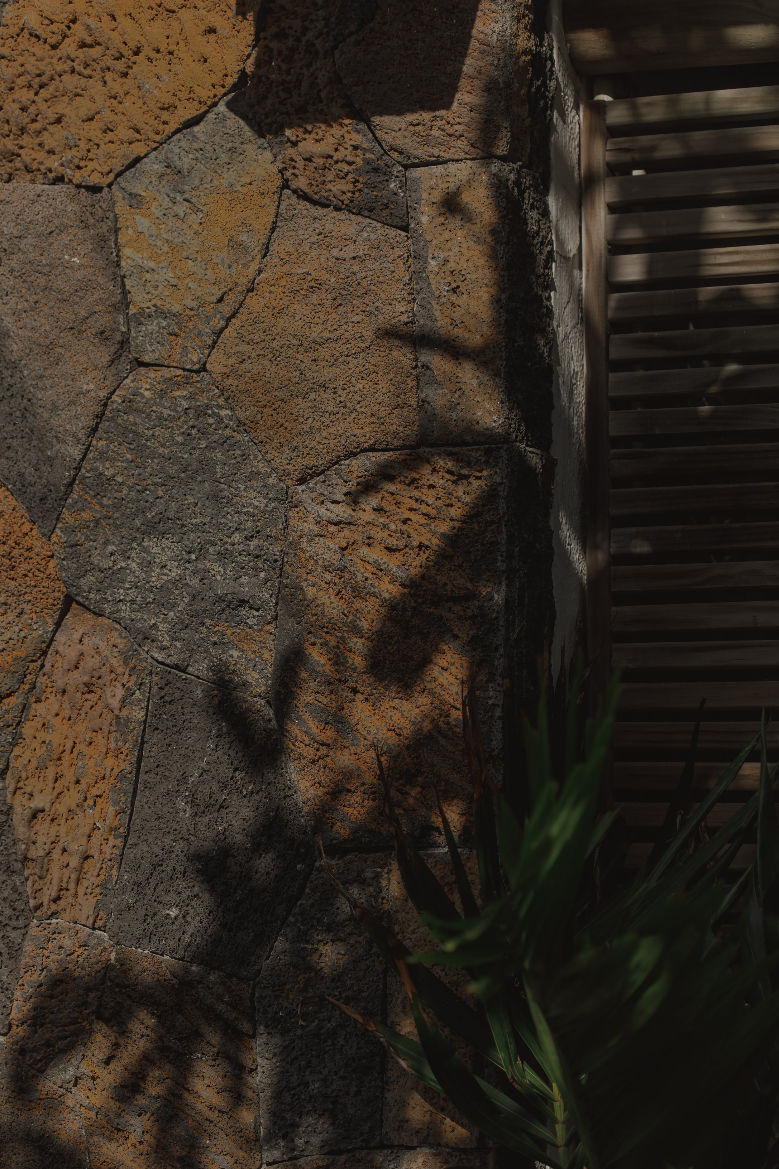 Close-up of a textured stone wall with a wooden fence and some green plants casting shadows.