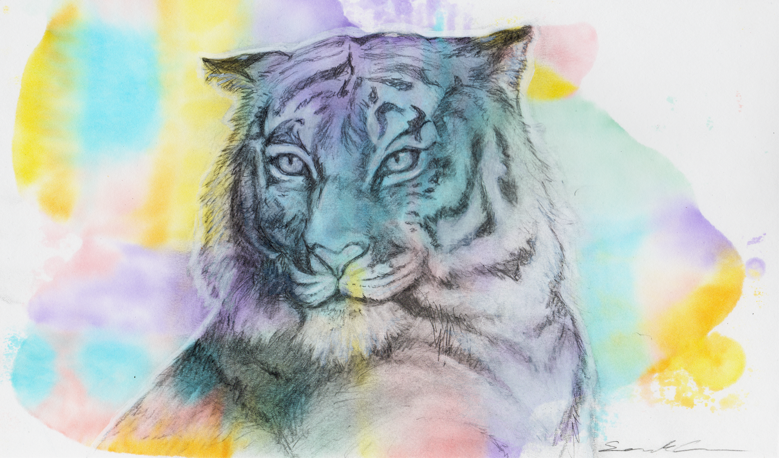 A colorful watercolor painting of a tiger's face with blue, purple, yellow, and pink hues.