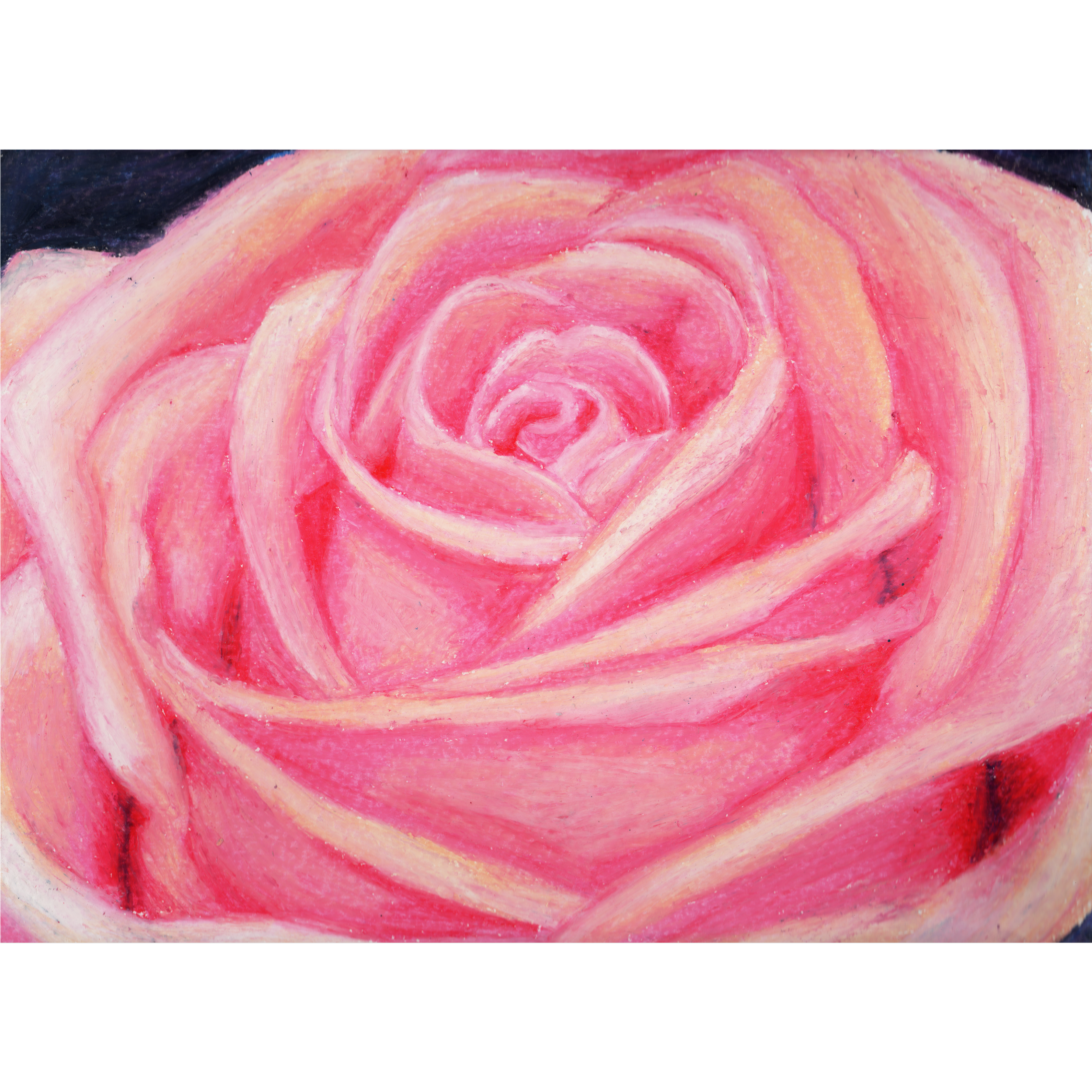 Close-up of a drawn pink rose with soft, swirling strokes.