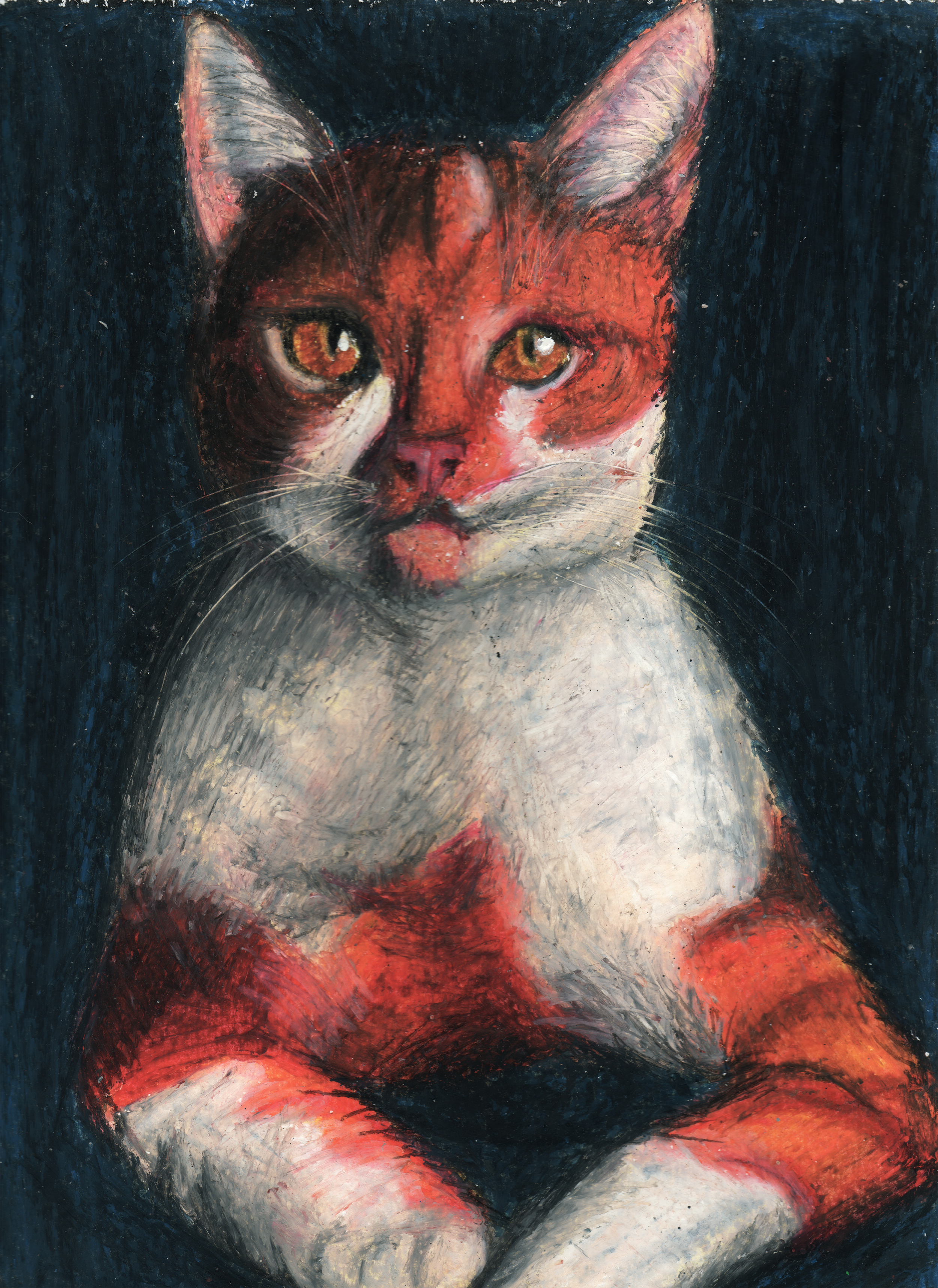 A drawing of a cat, with arms crossed and a somber expression.