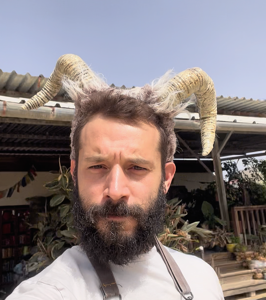 Horns of Pan / 2026