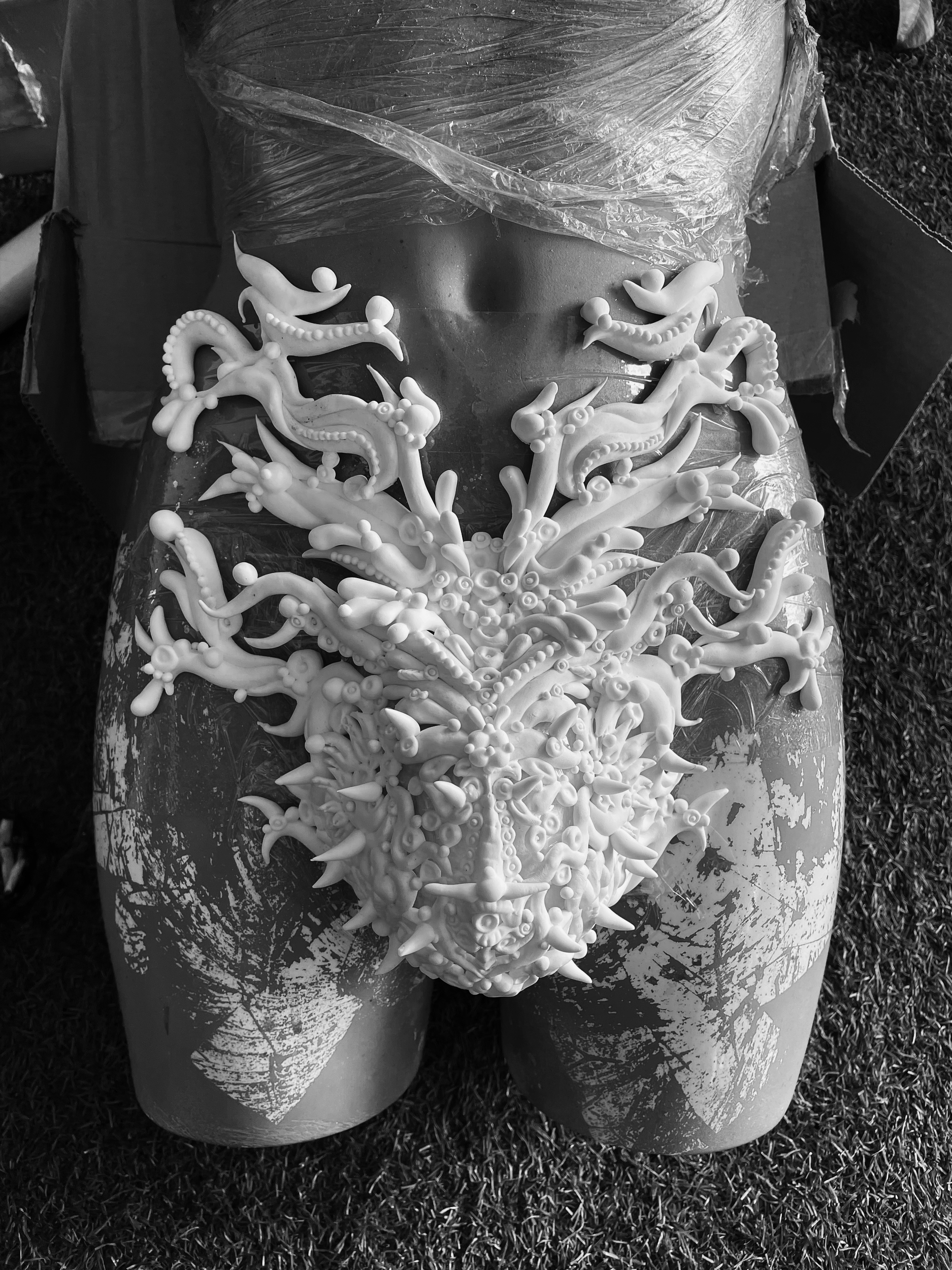 photo of a mannequin torso with a decorative, intricate, organic-shaped embellishment on the front, an art installation or costume piece. Artistic underwear