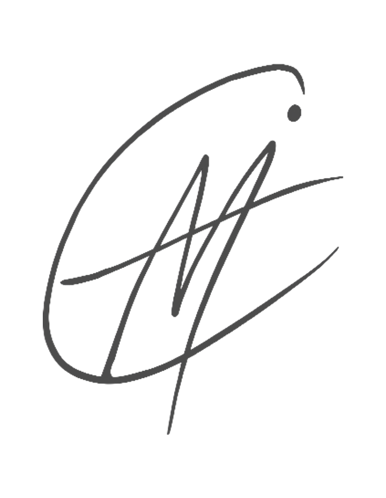 Stylized oval shape with abstract lines and a dot, resembling a signature or artistic logo.