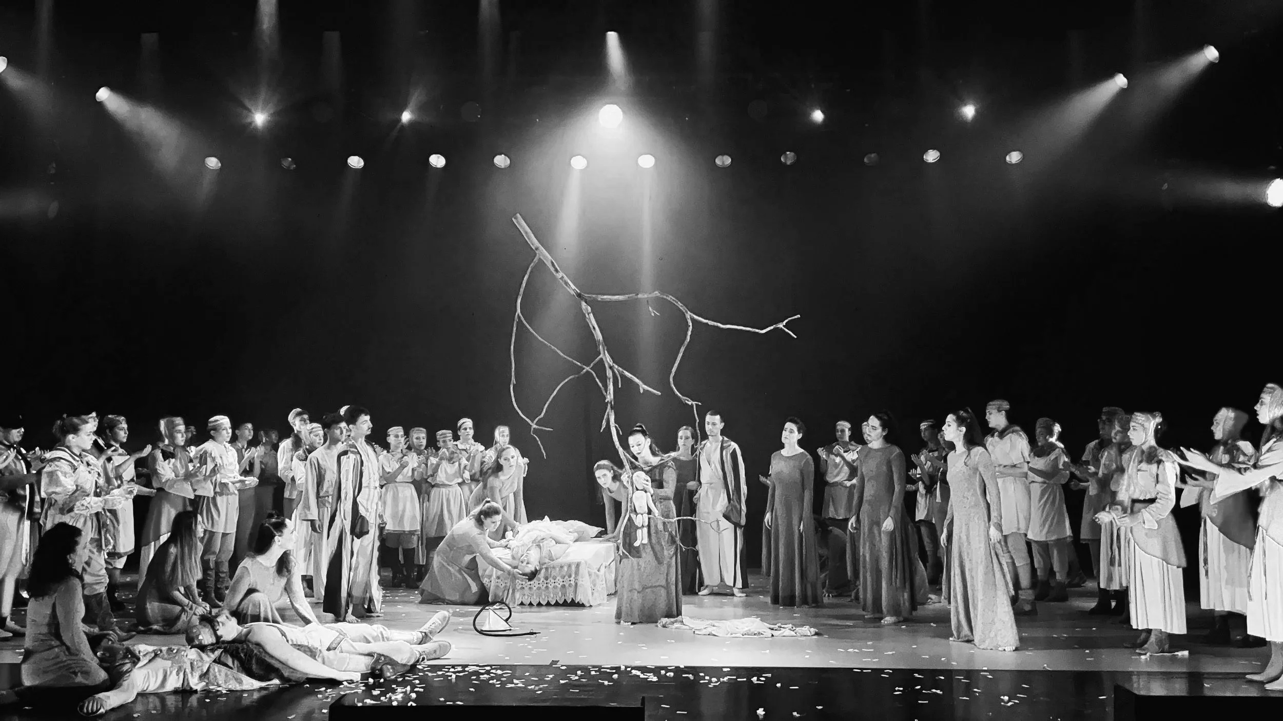 photo of a theatrical stage with many performers in costumes, some sitting and some standing, with a branch hanging from above and people in traditional or historical attire.