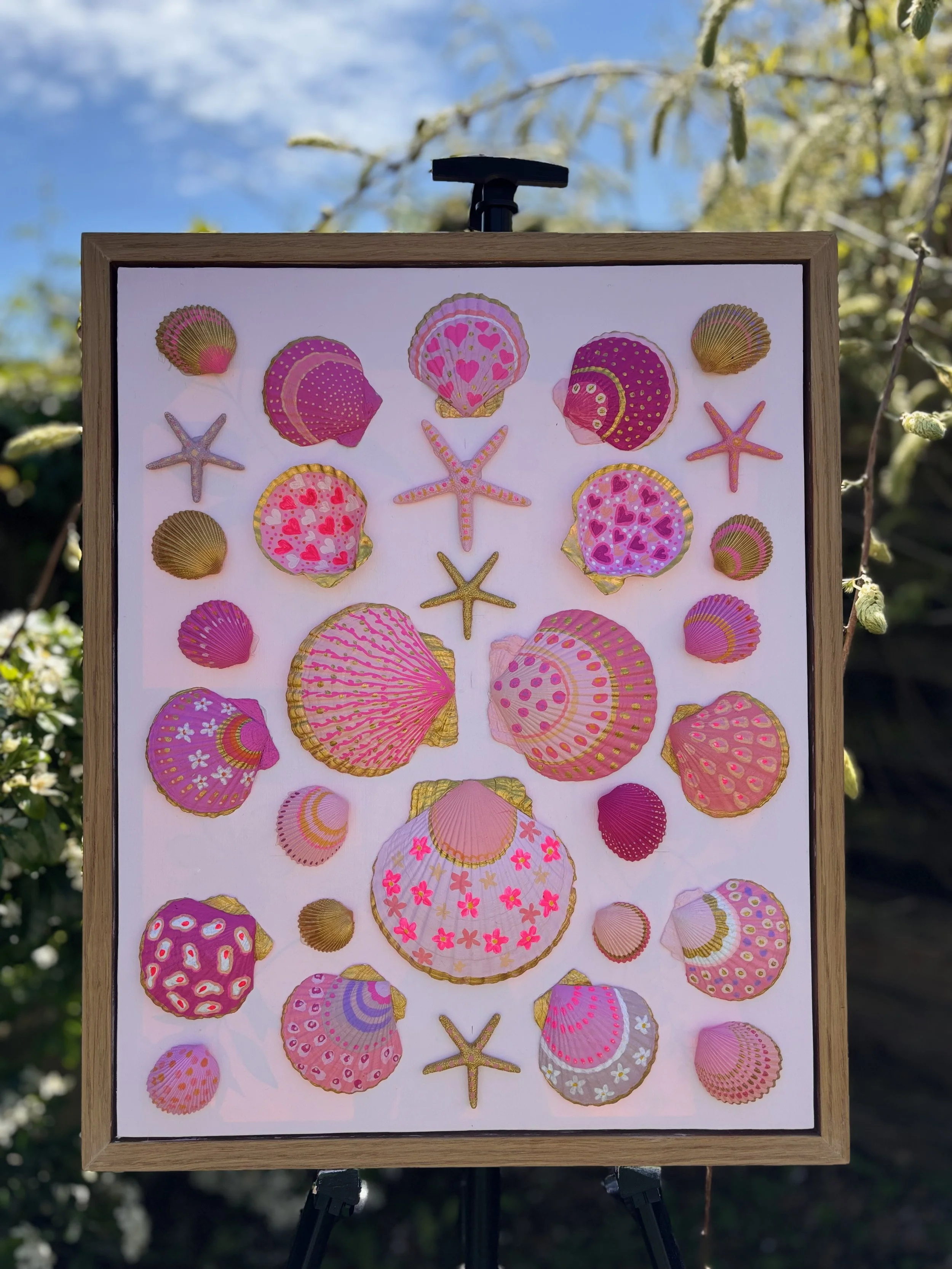 Framed coastal shell artwork in soft pink tones