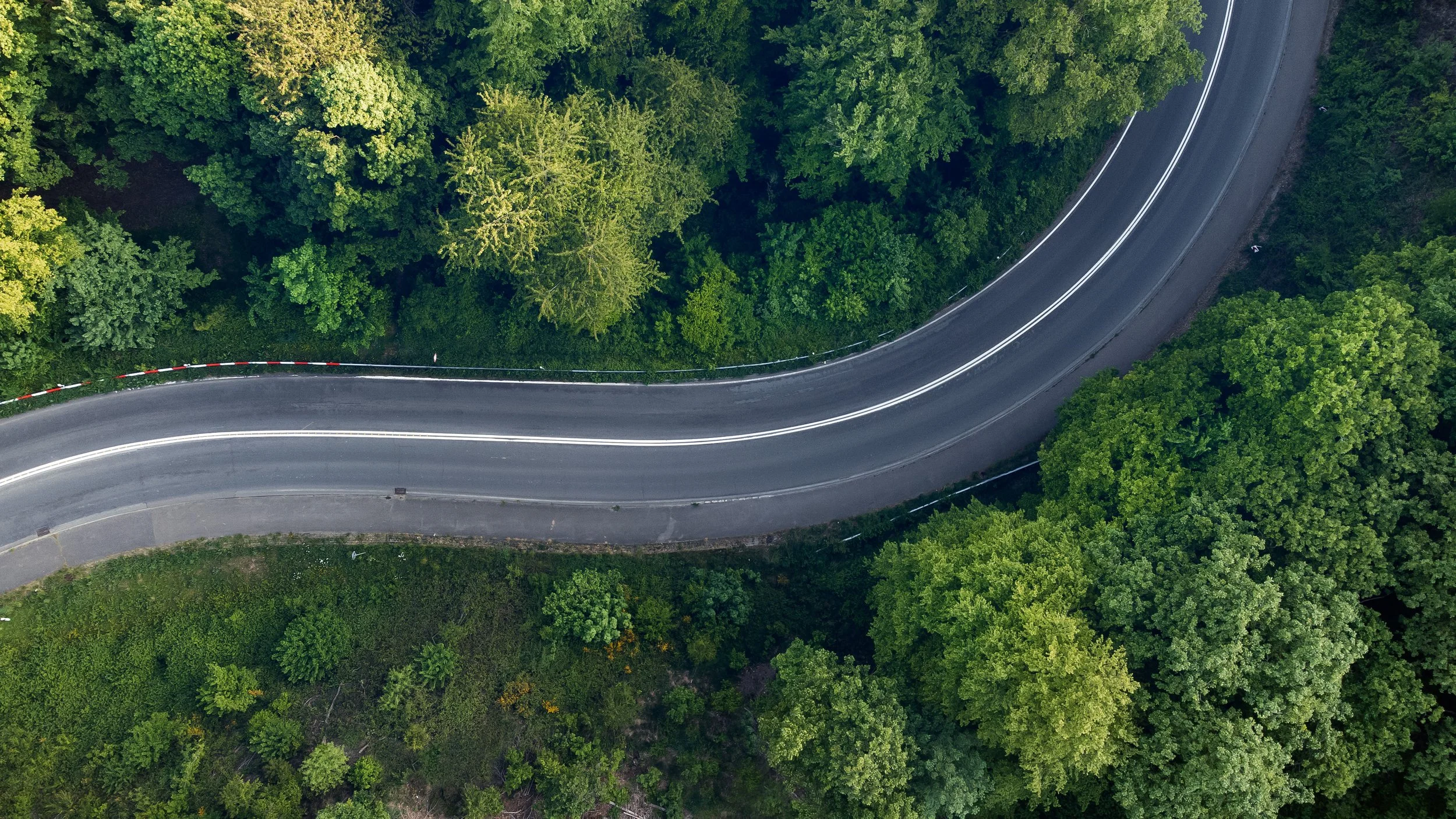 Vogelperspektive auf eine kurvige Straße, umgeben von dichtem, grünen Wald.