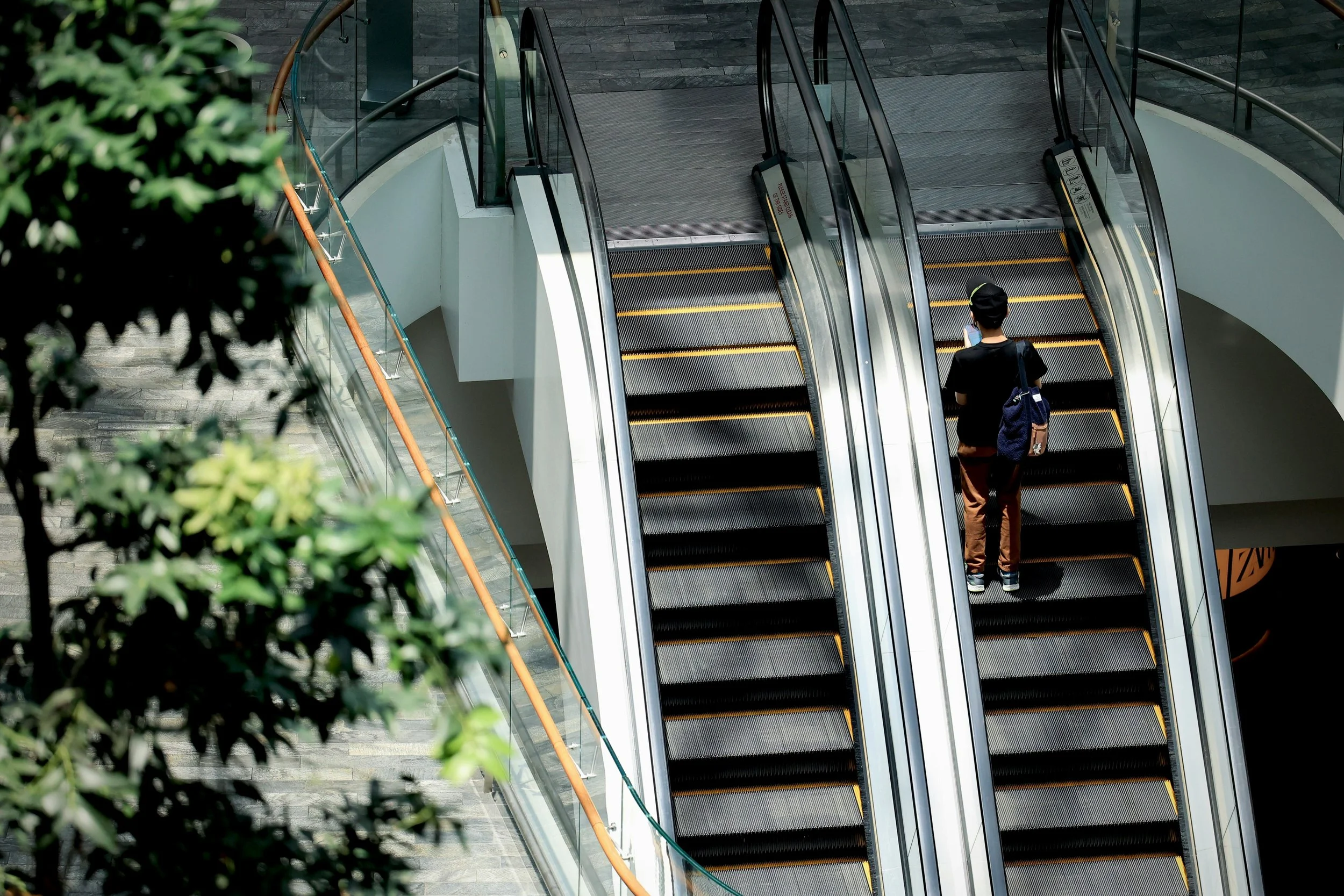 Person standing on an escalator inside a Singapore shopping mall, checking their phone, with greenery partially visible in the foreground.