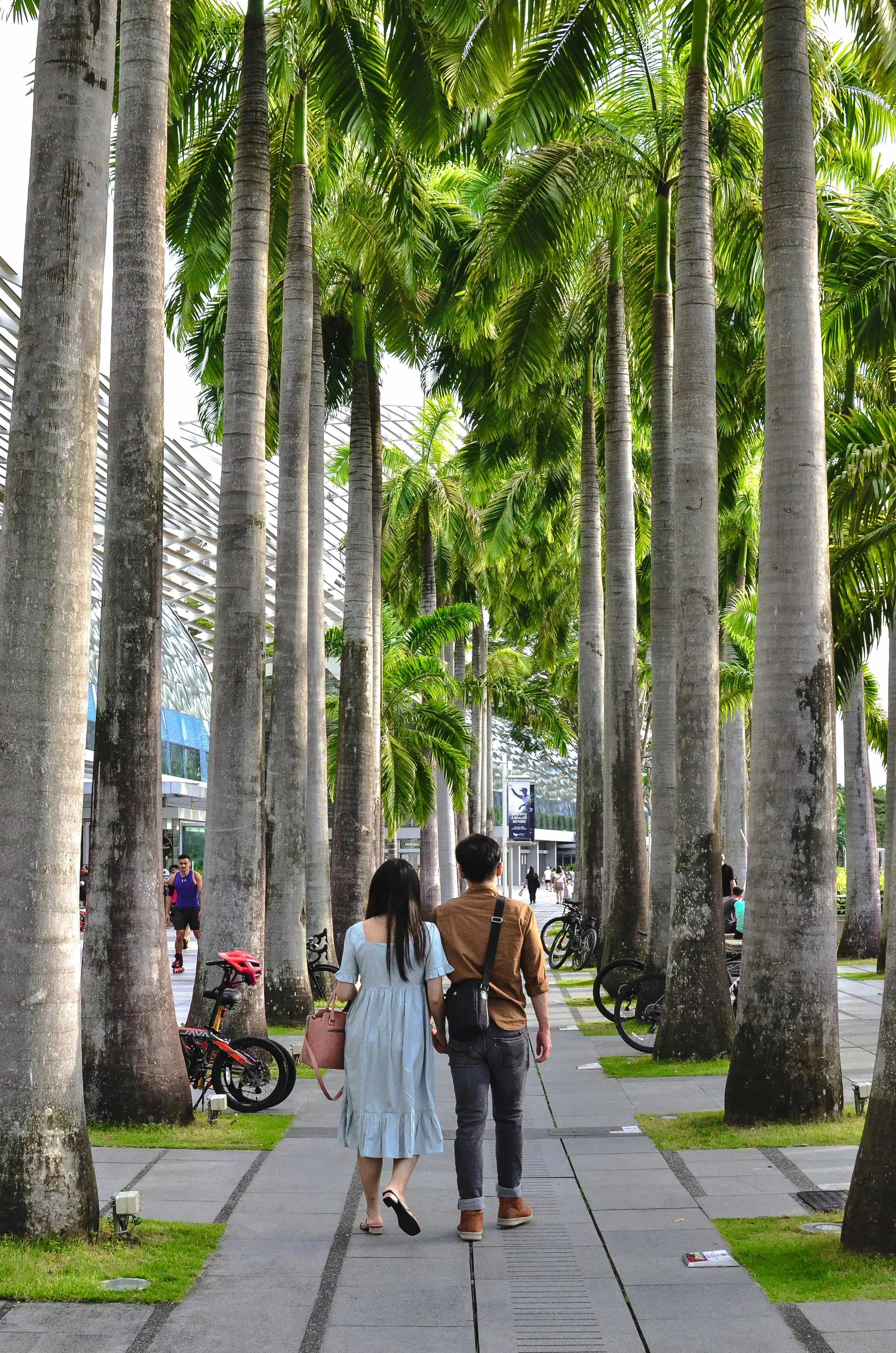 People walking along a pedestrian pathway in Singapore lined with tall palm trees on a sunny day.