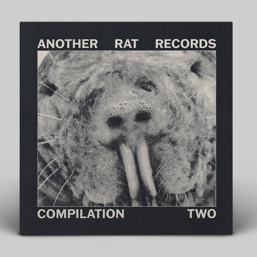 Another Rat Records - Compliation 2 (vinyl)