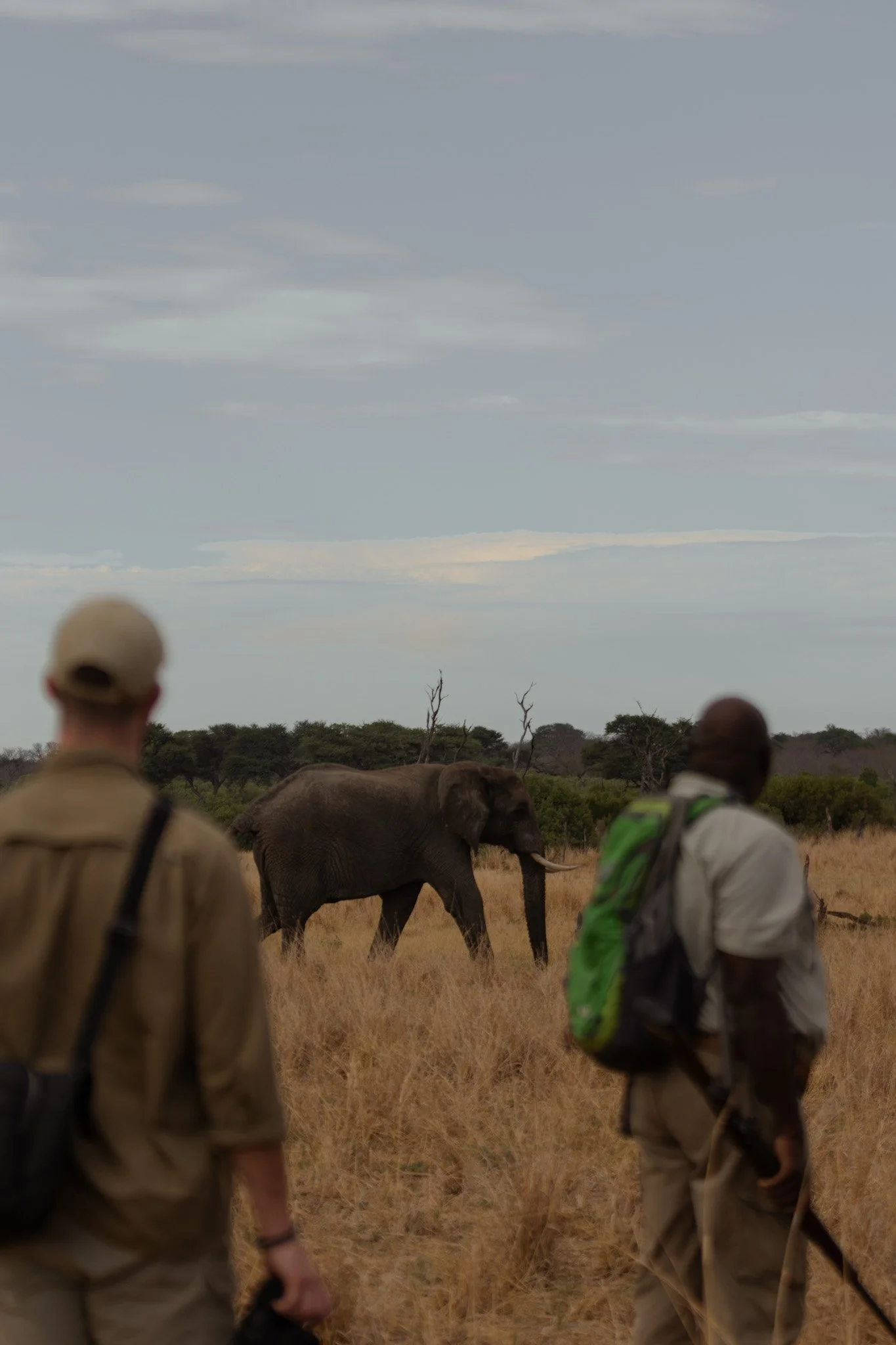 somalisa x alie in africa x82.jpg
